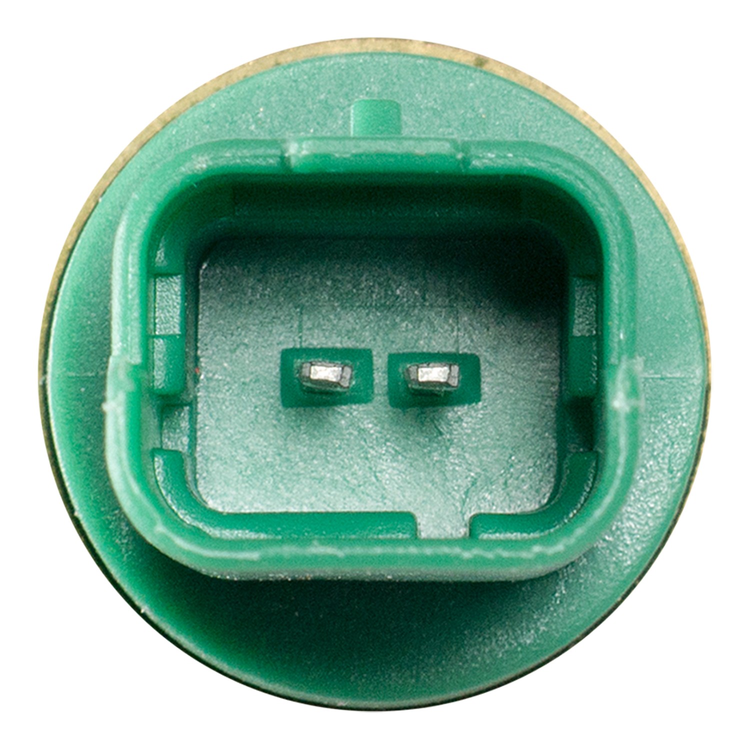 Blue Print ADB117217