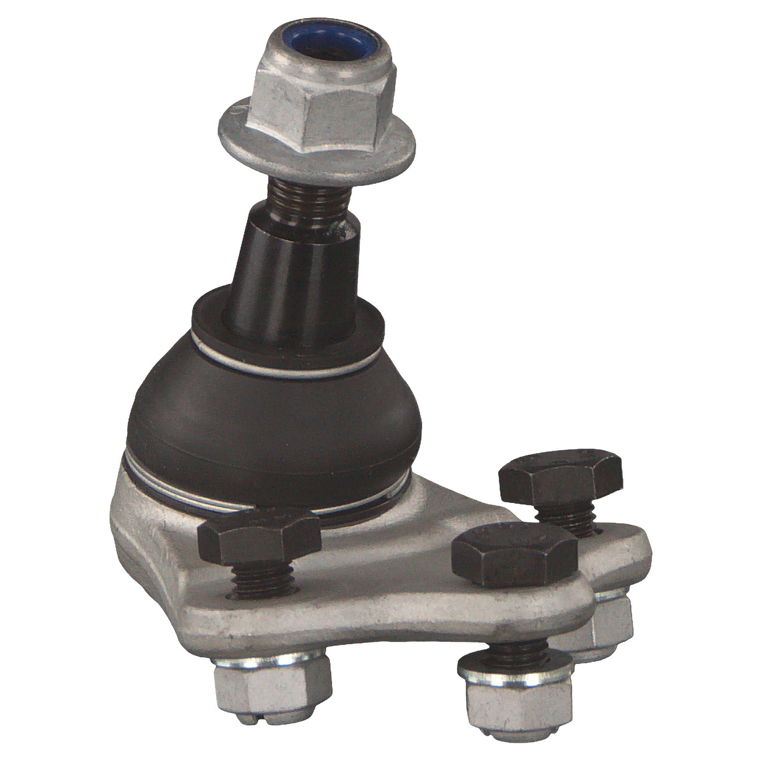 Blue Print ADJ138626