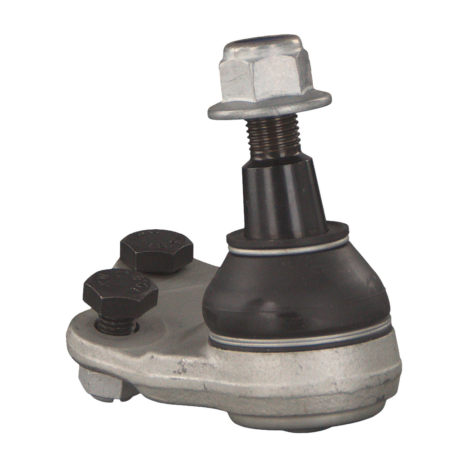 Blue Print ADJ138626