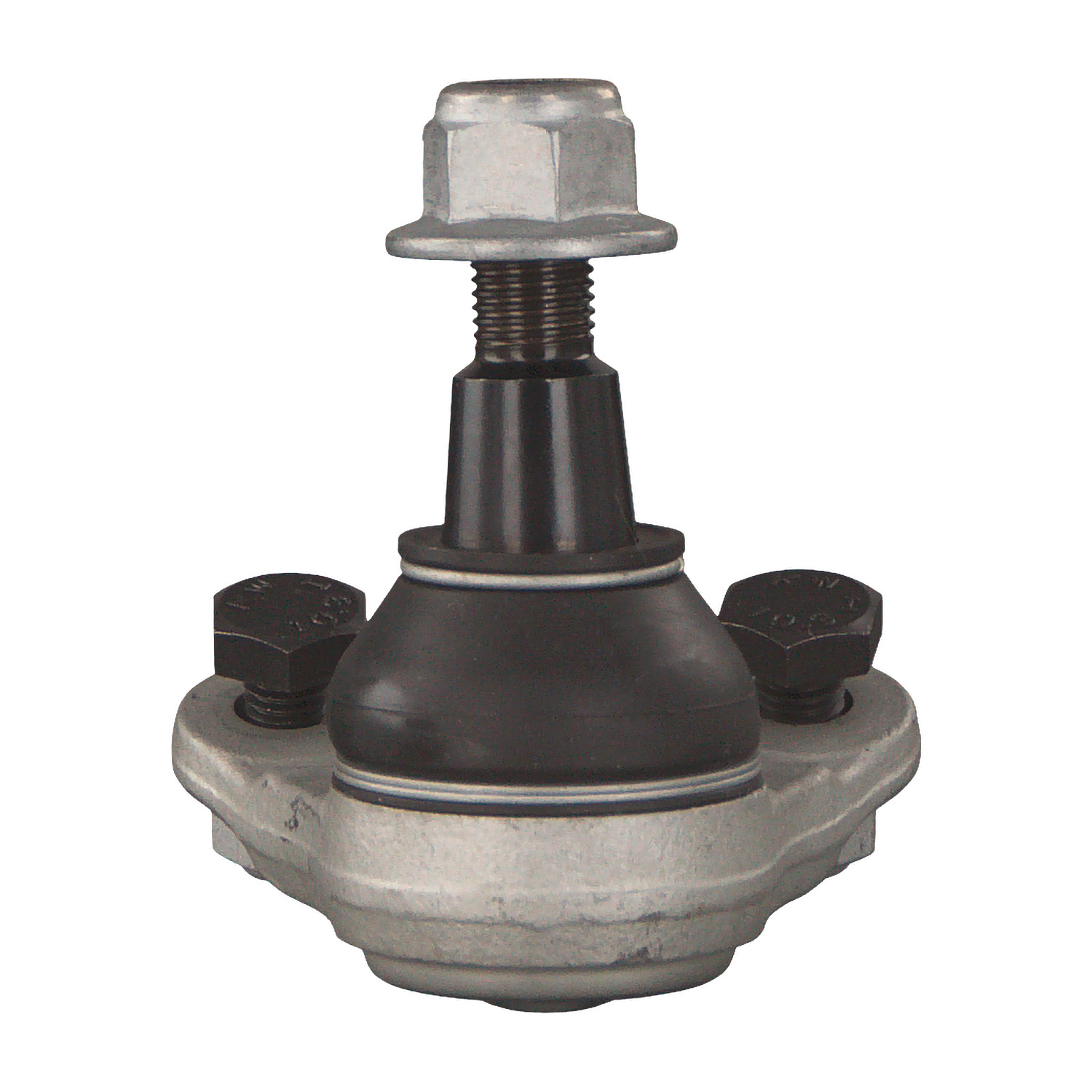 Blue Print ADJ138626