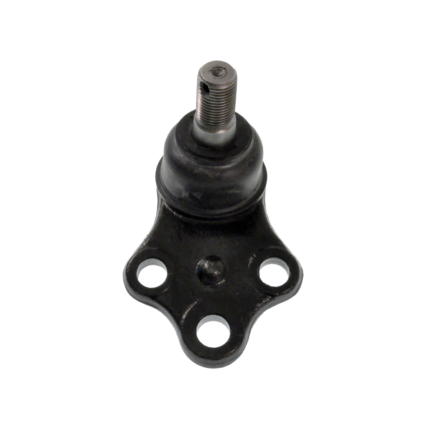 Blue Print ADN186102