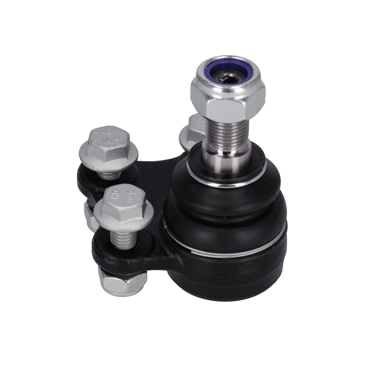 Blue Print ADN186107