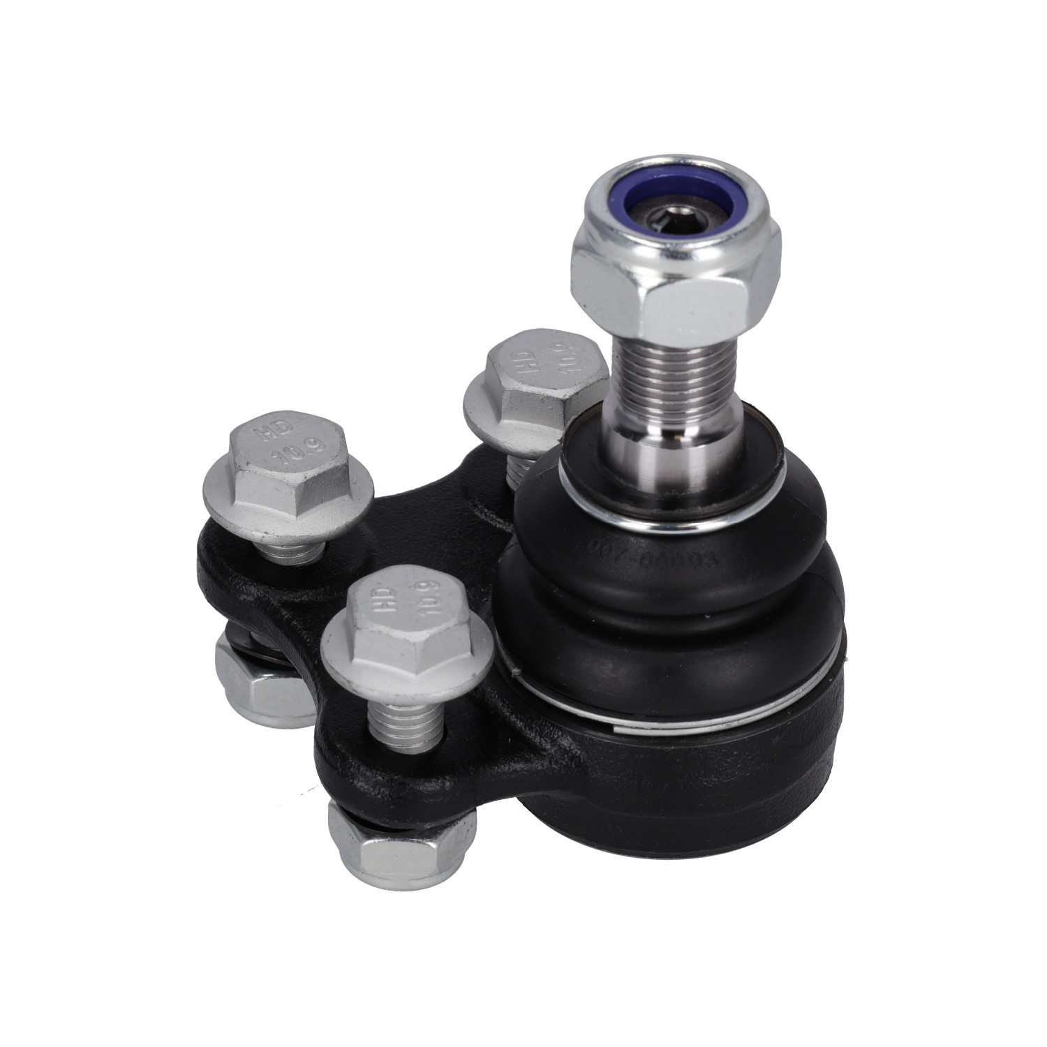 Blue Print ADN186107