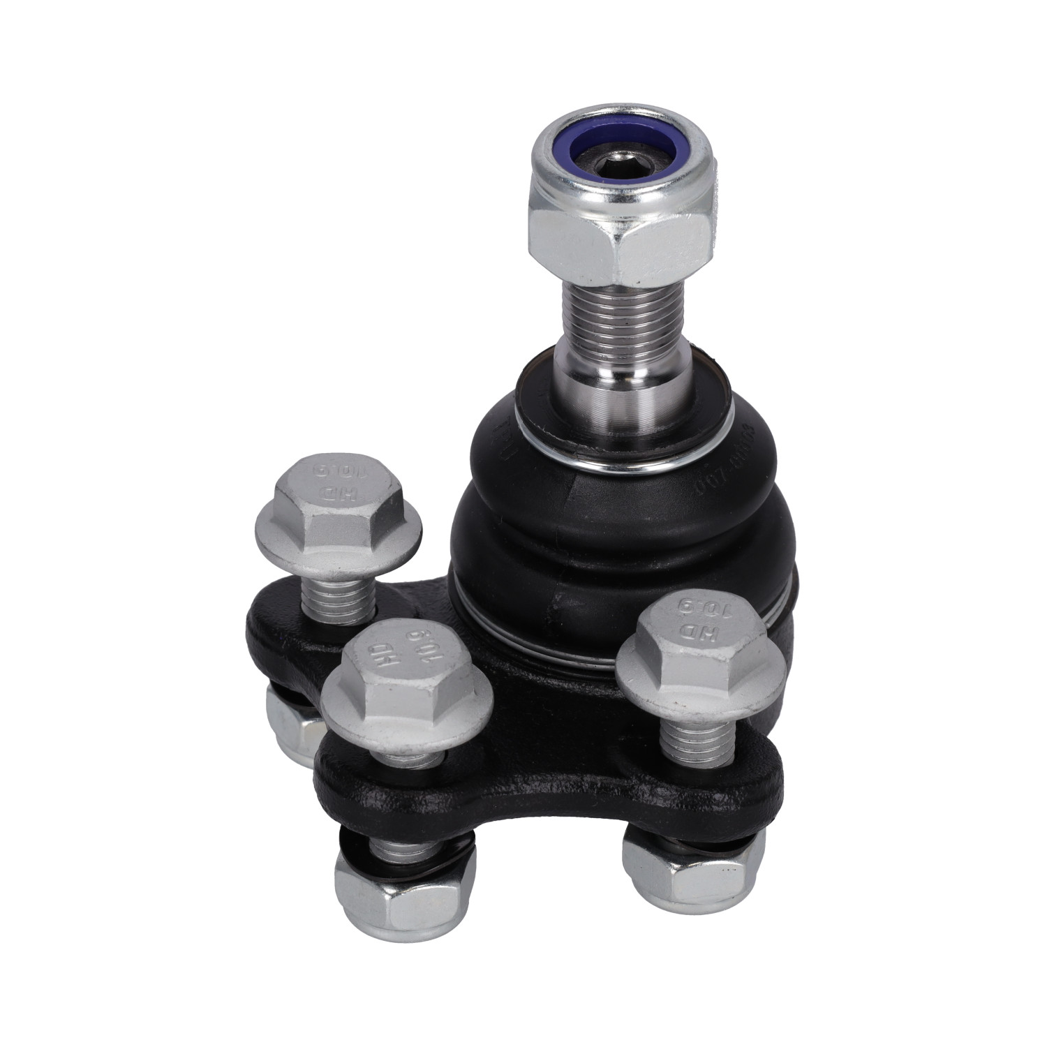 Blue Print ADN186107