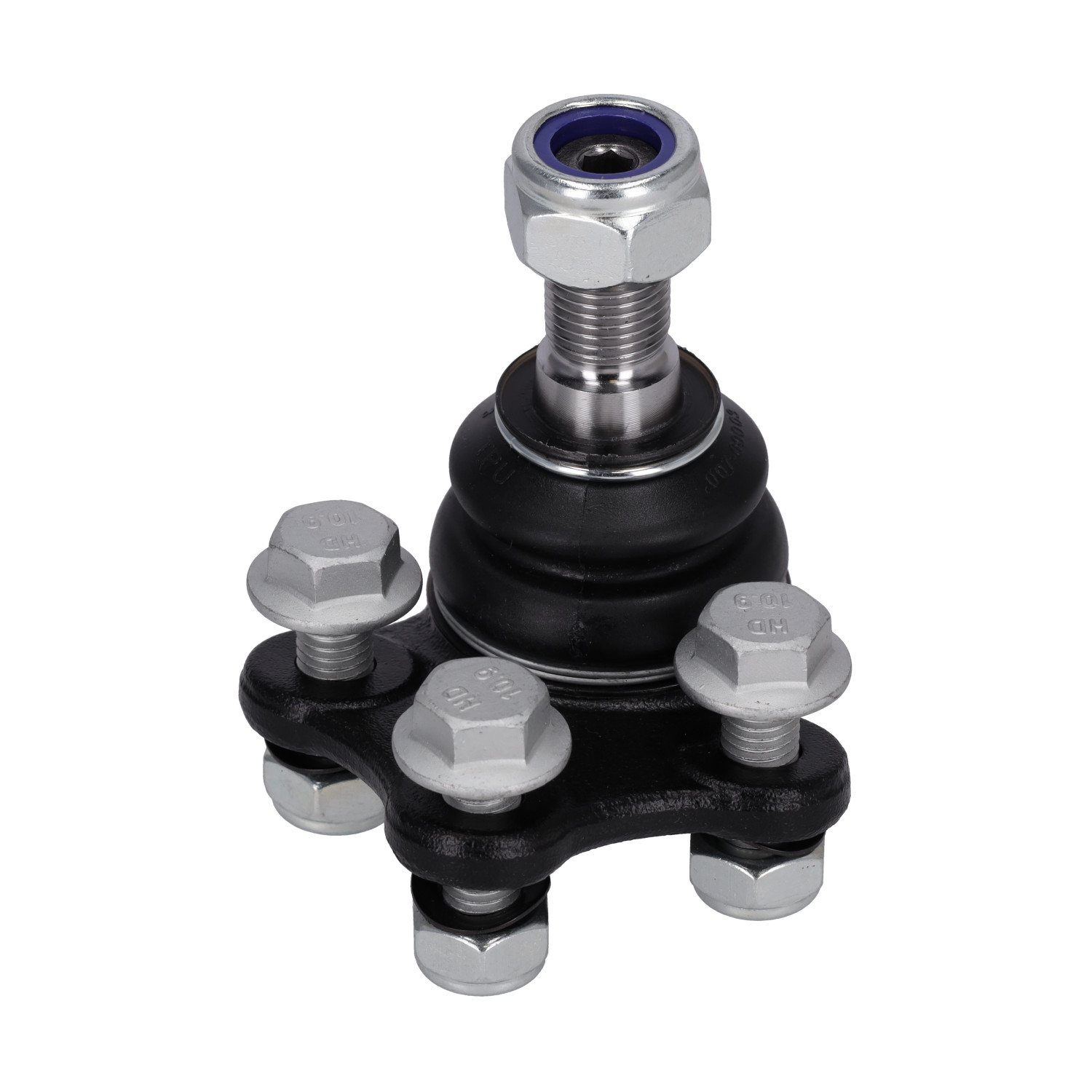 Blue Print ADN186107