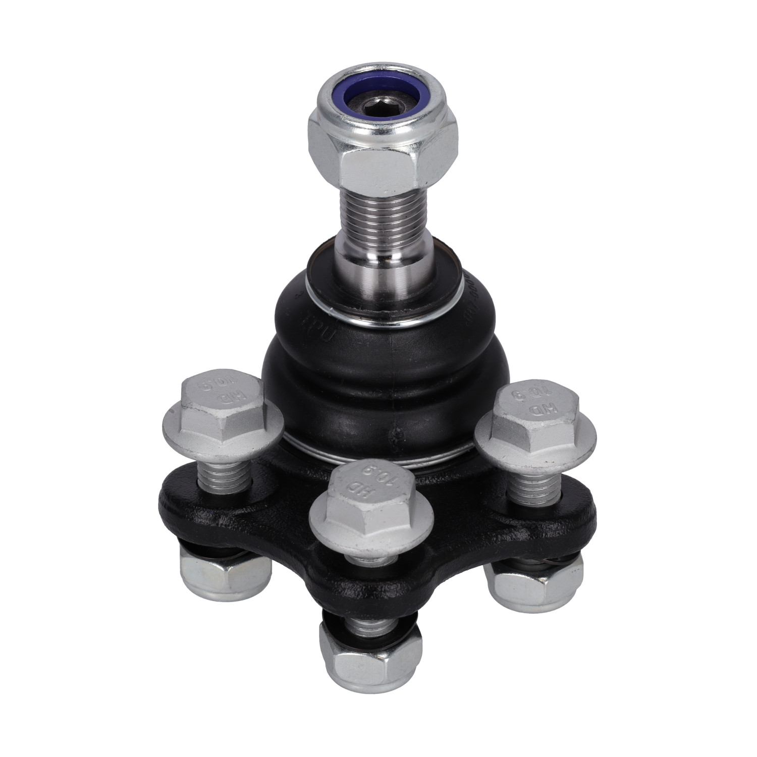 Blue Print ADN186107