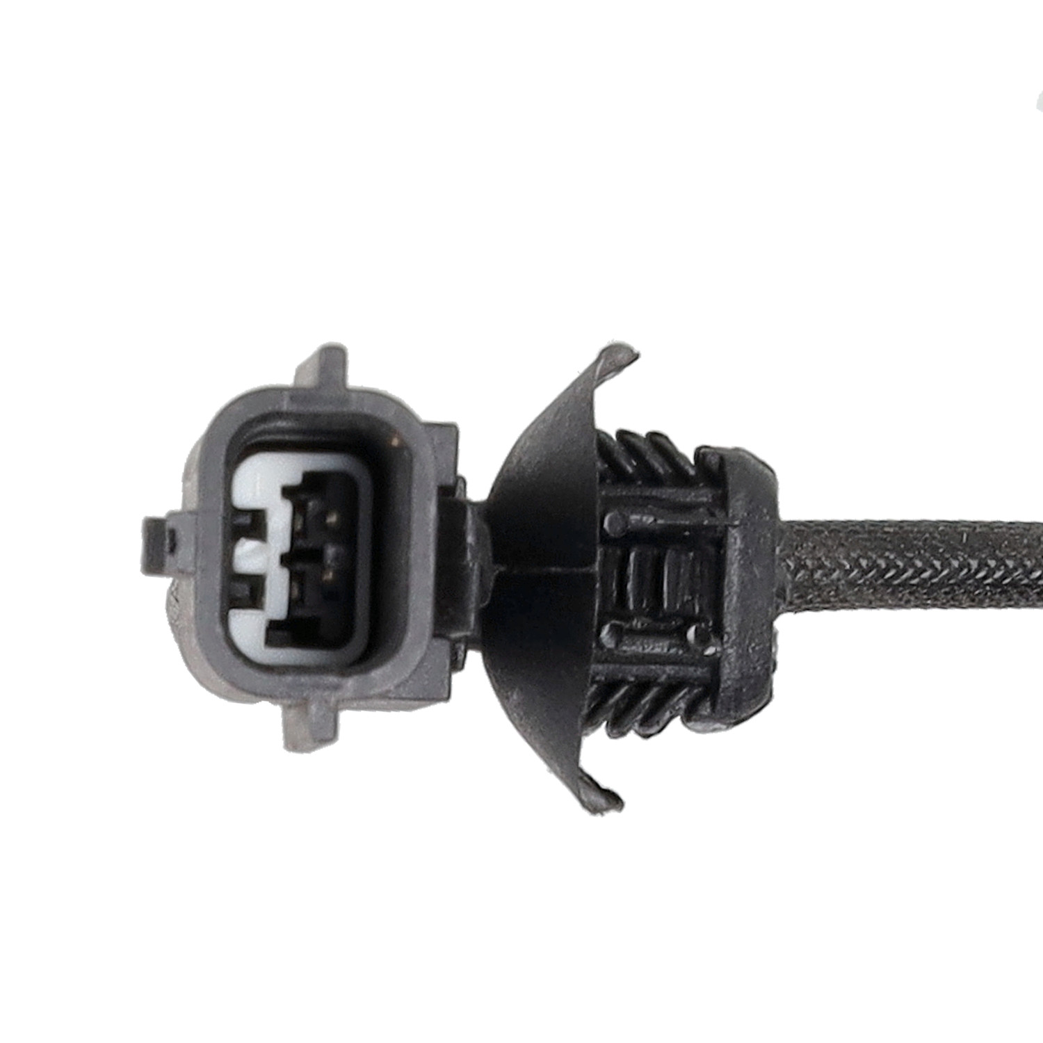 Blue Print ADN142154