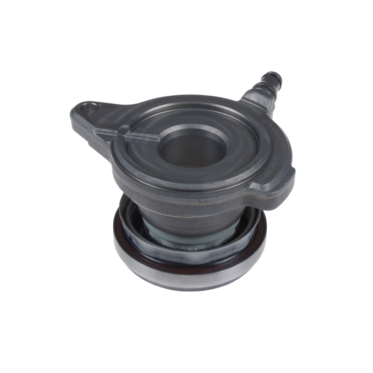 Blue Print ADJ133603