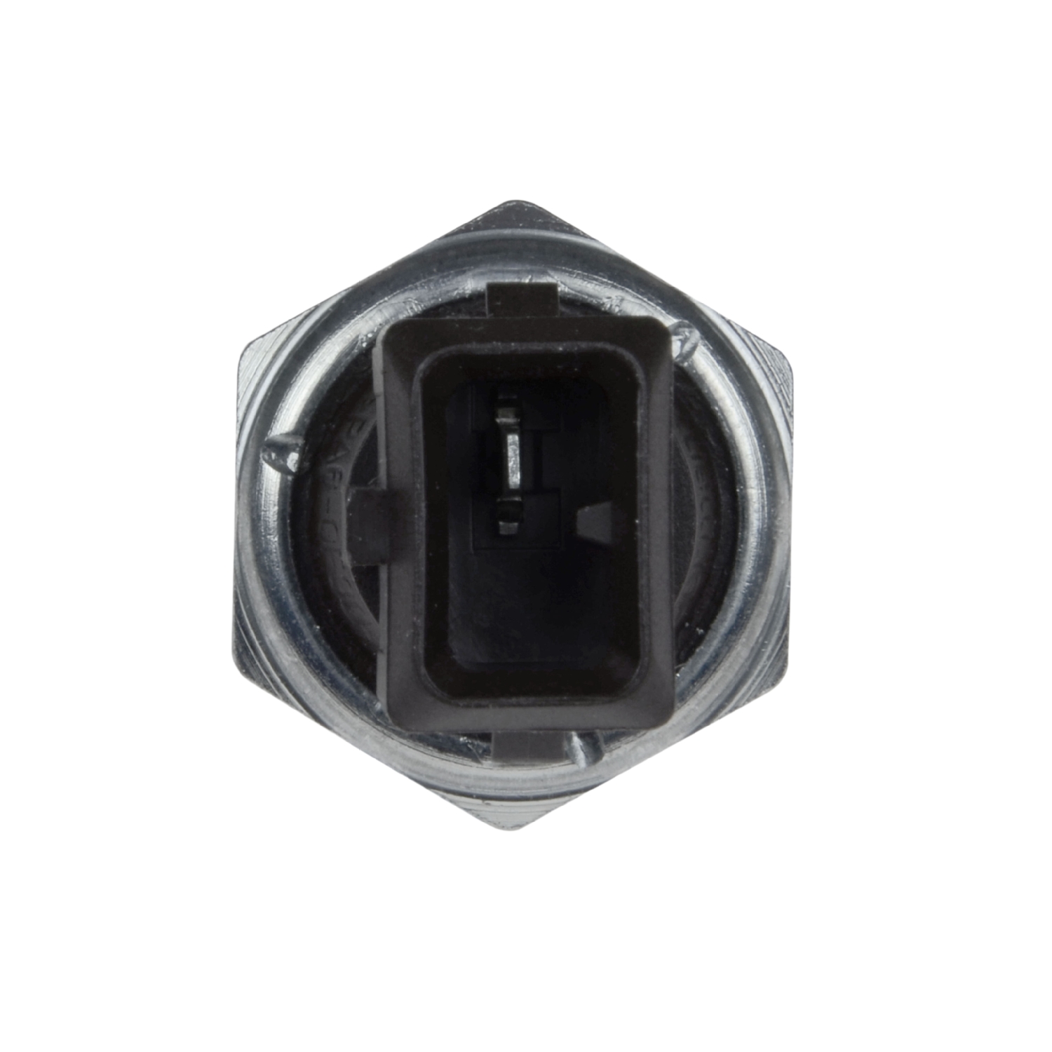 Blue Print ADJ136601