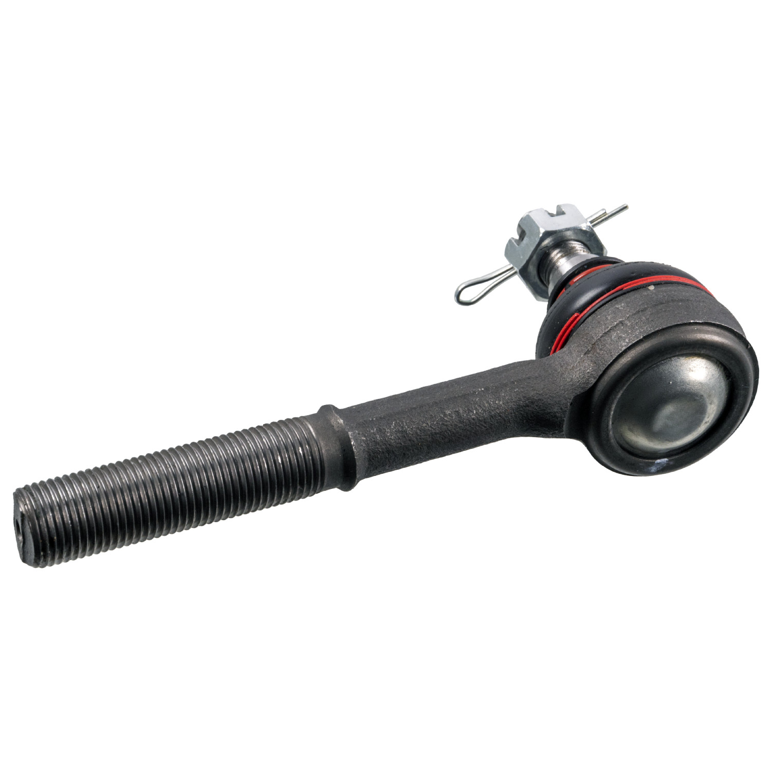 Blue Print ADN187120