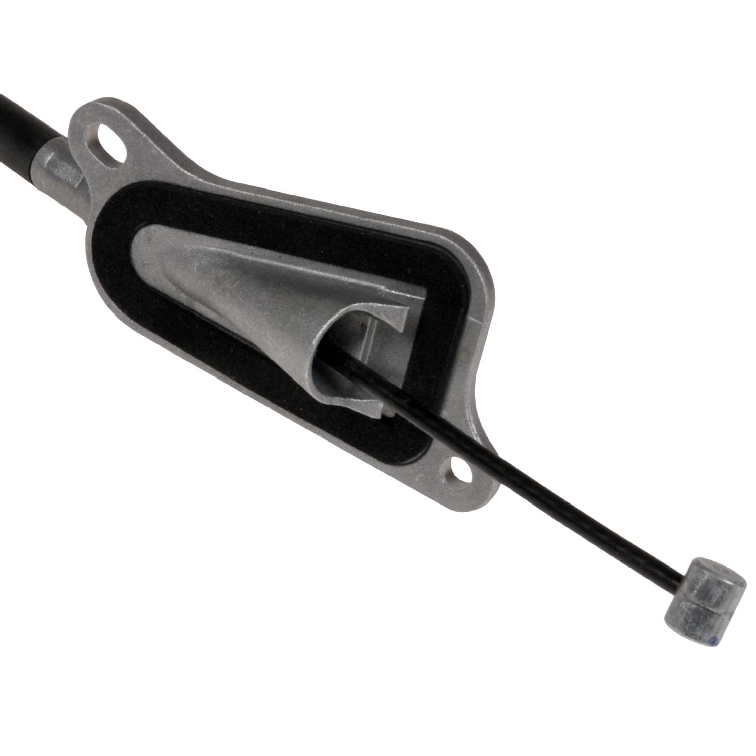 Blue Print ADN146277