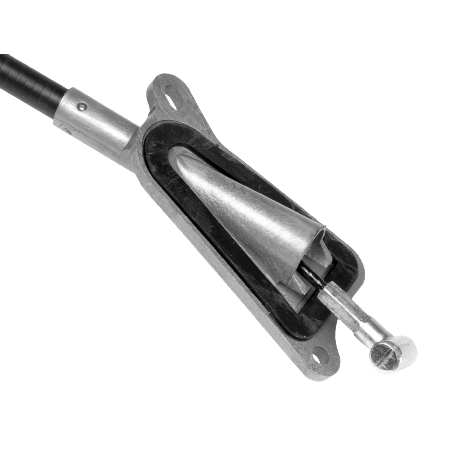 Blue Print ADN146283