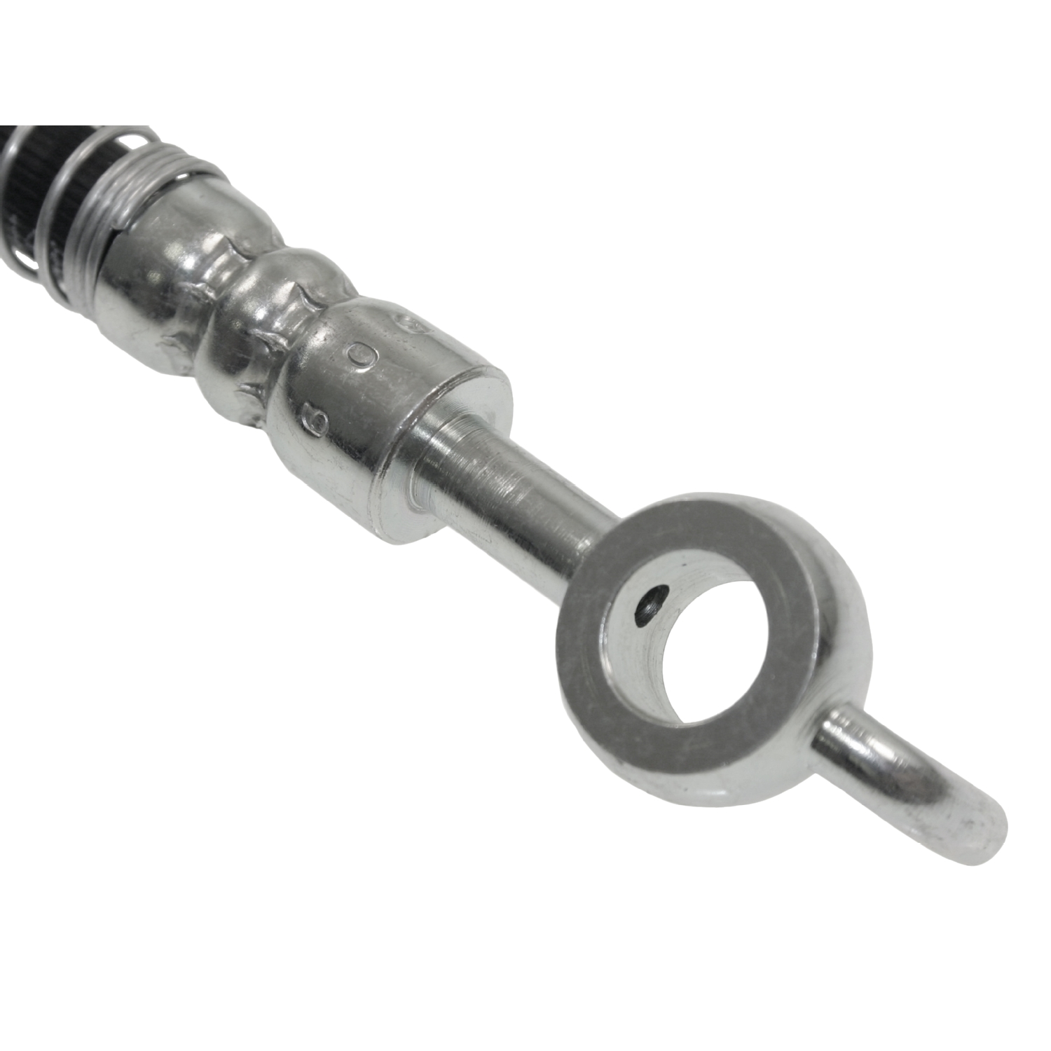 Blue Print ADG053182