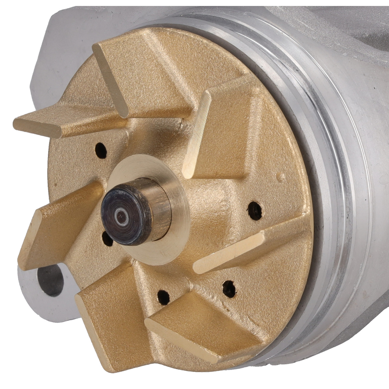 Blue Print ADJ139112