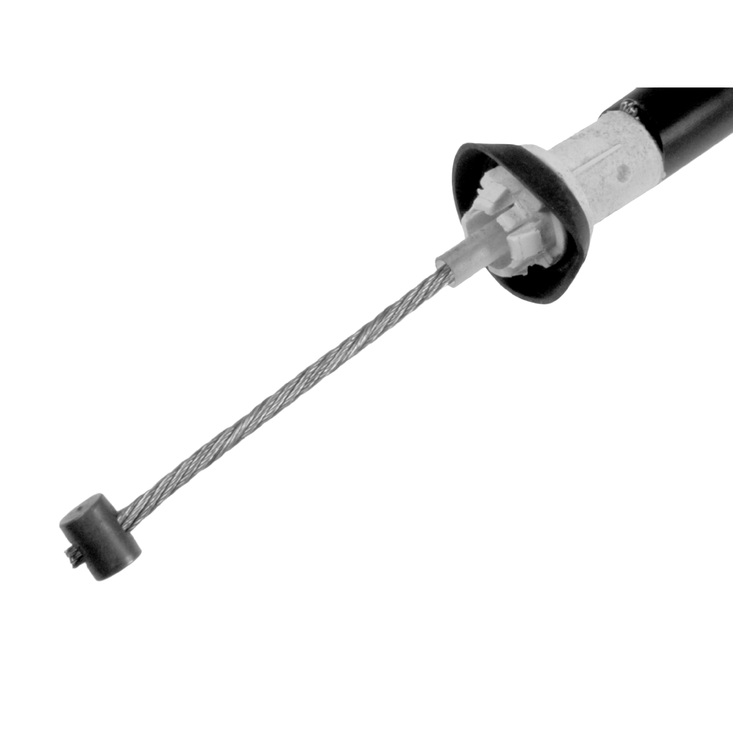 Blue Print ADL144603