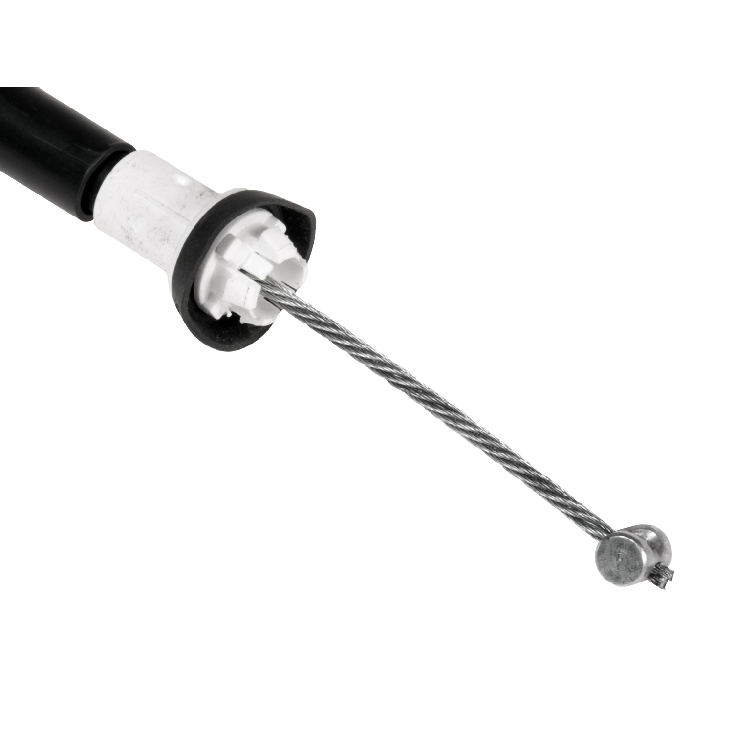 Blue Print ADL144604