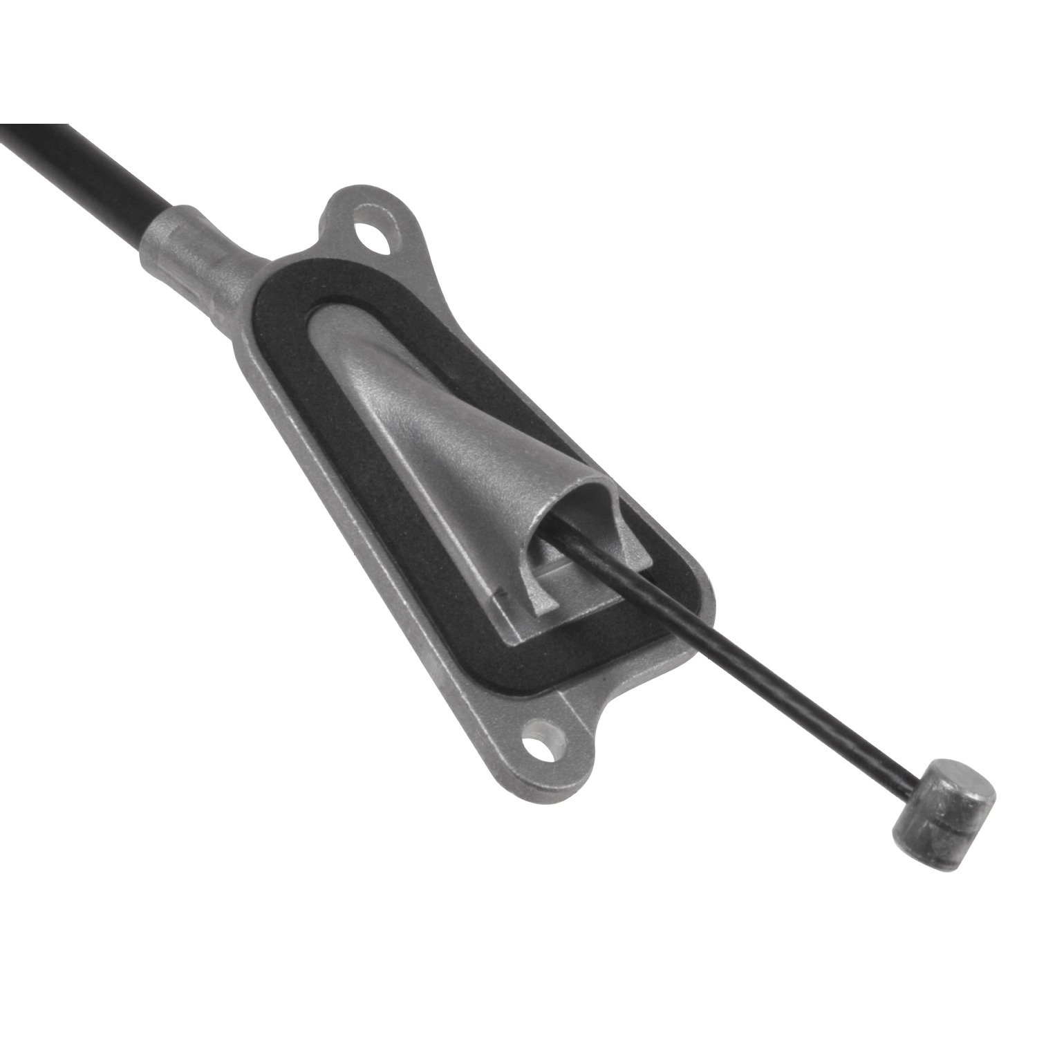 Blue Print ADN146276