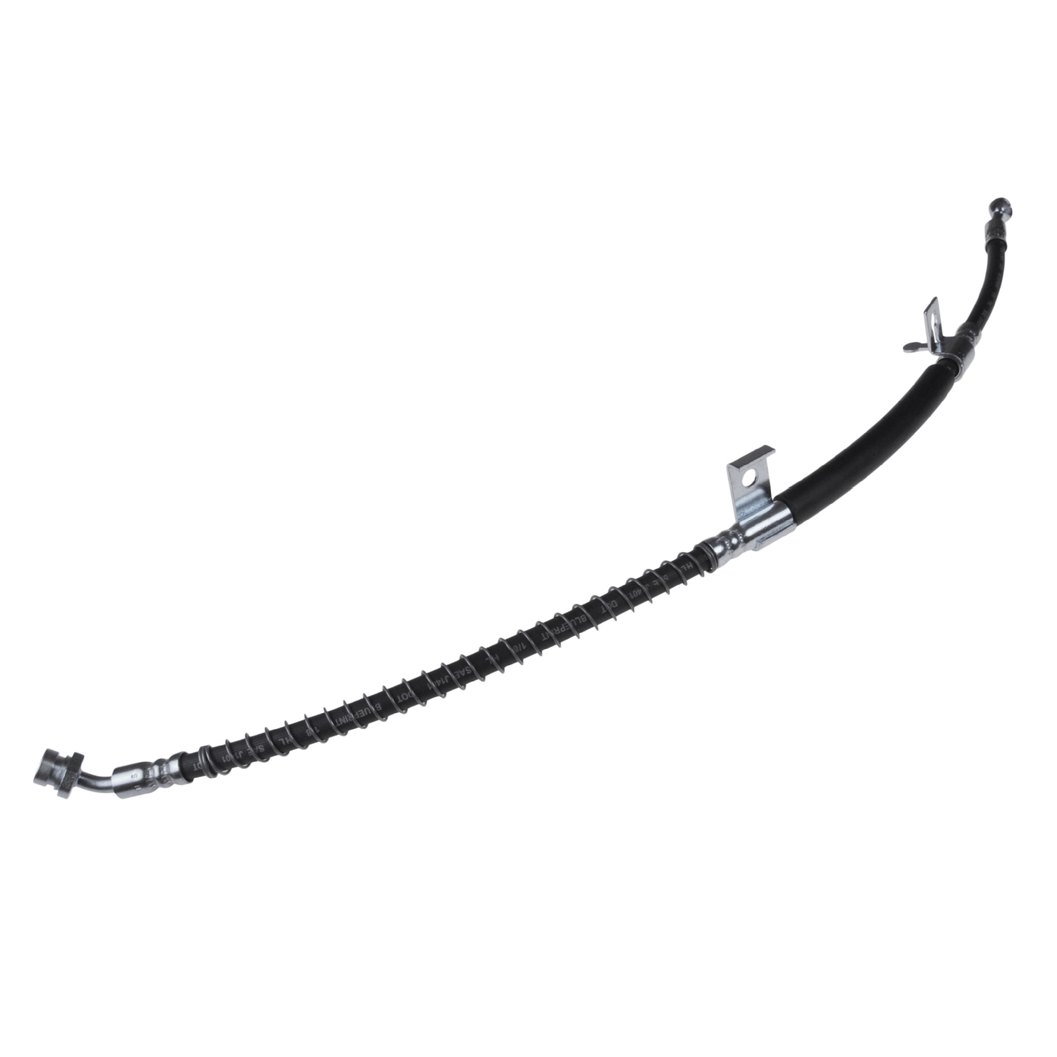 Blue Print ADG053165