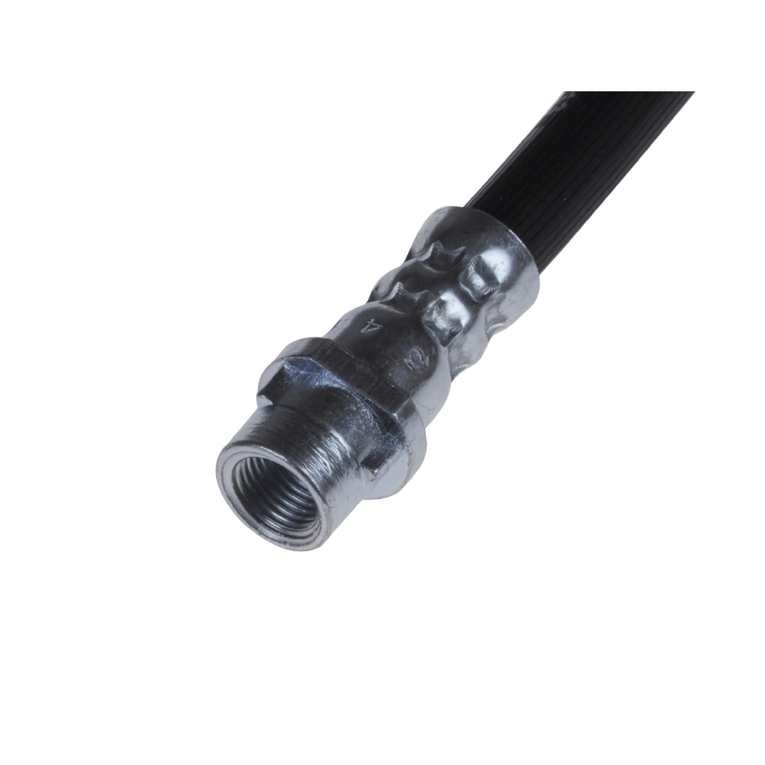 Blue Print ADG053279