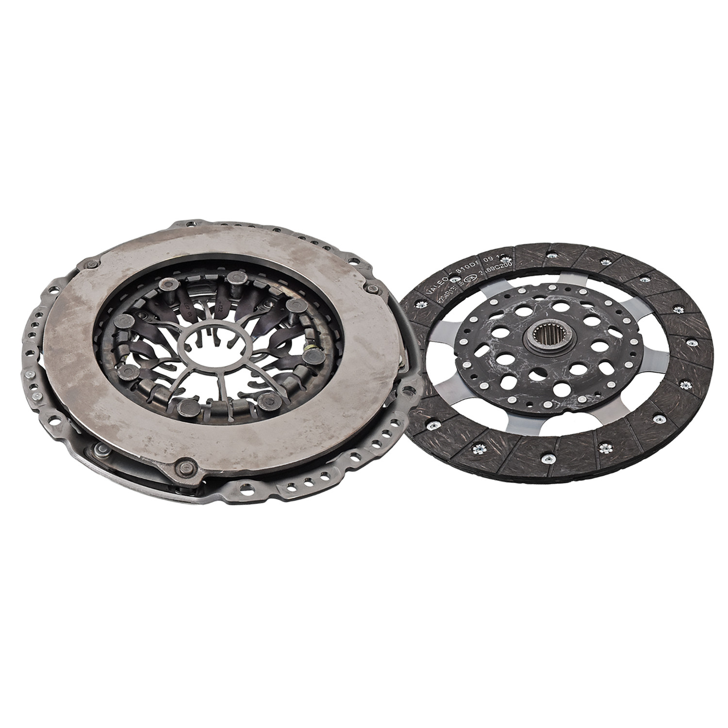 Blue Print ADN130237