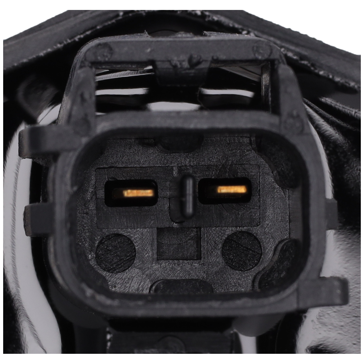 Blue Print ADA101404