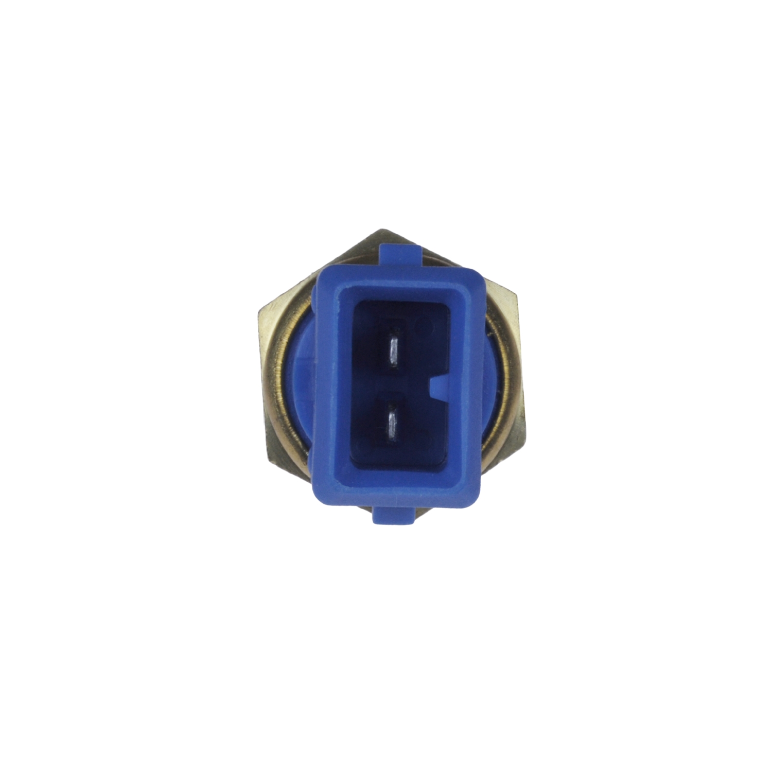 Blue Print ADJ137203