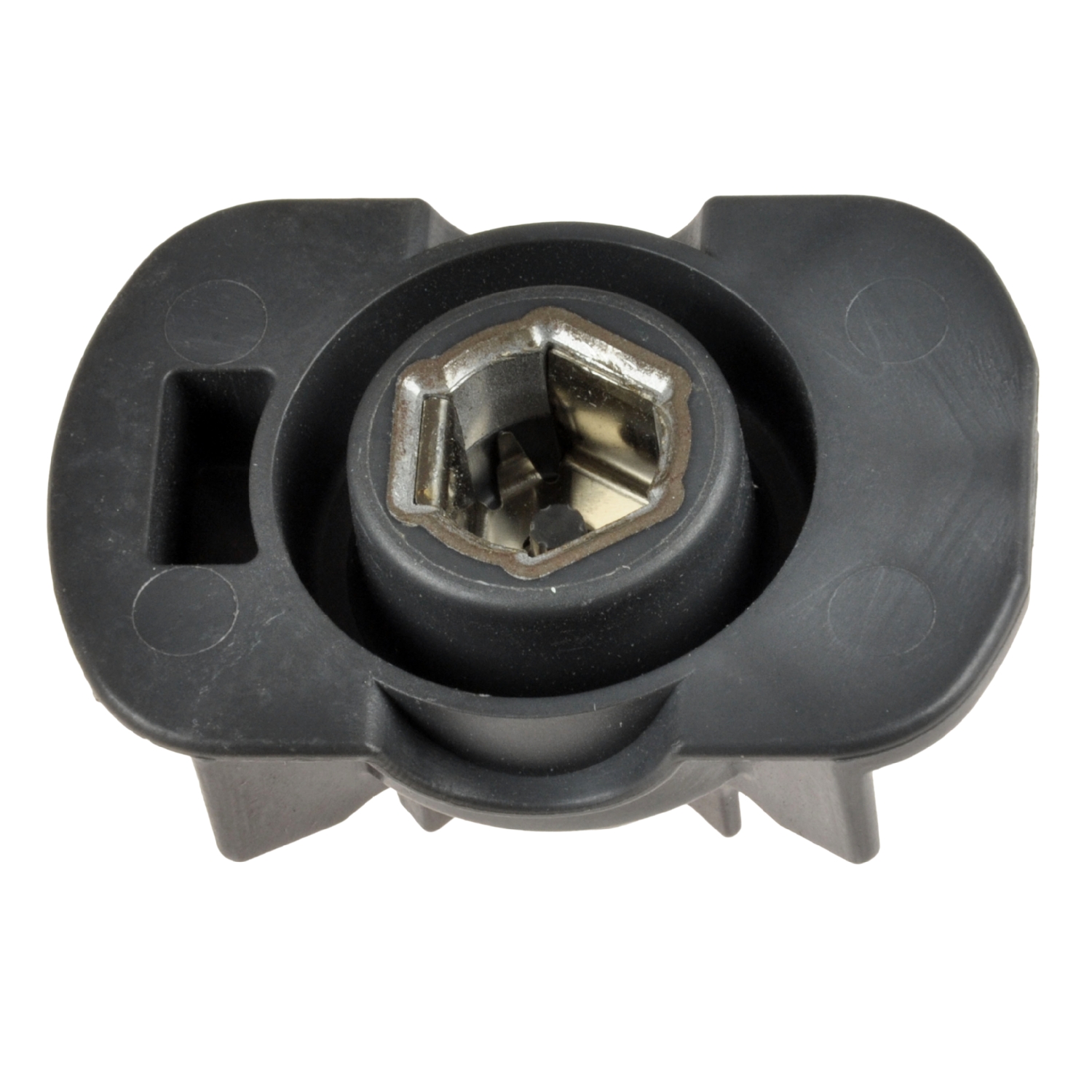 Blue Print ADN114330