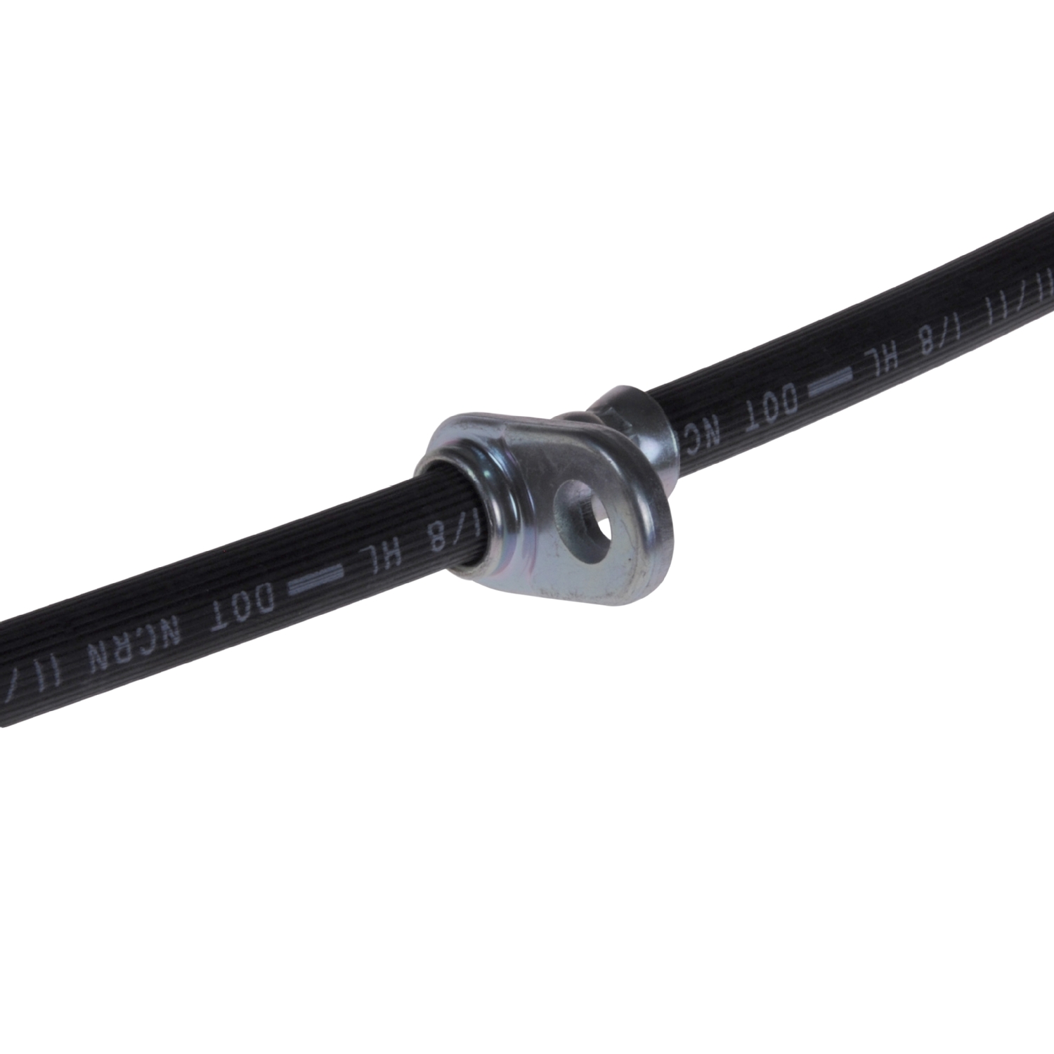 Blue Print ADH253135