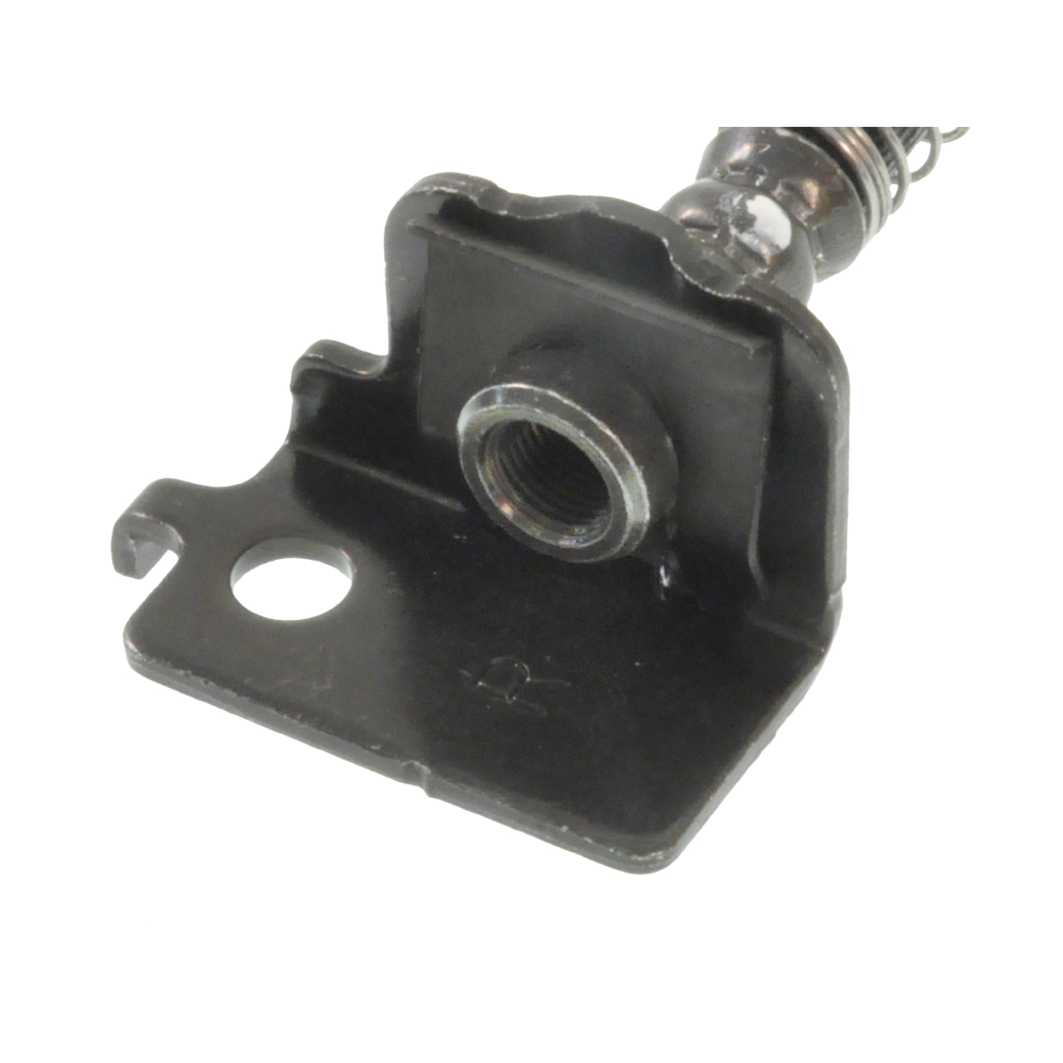 Blue Print ADG053148