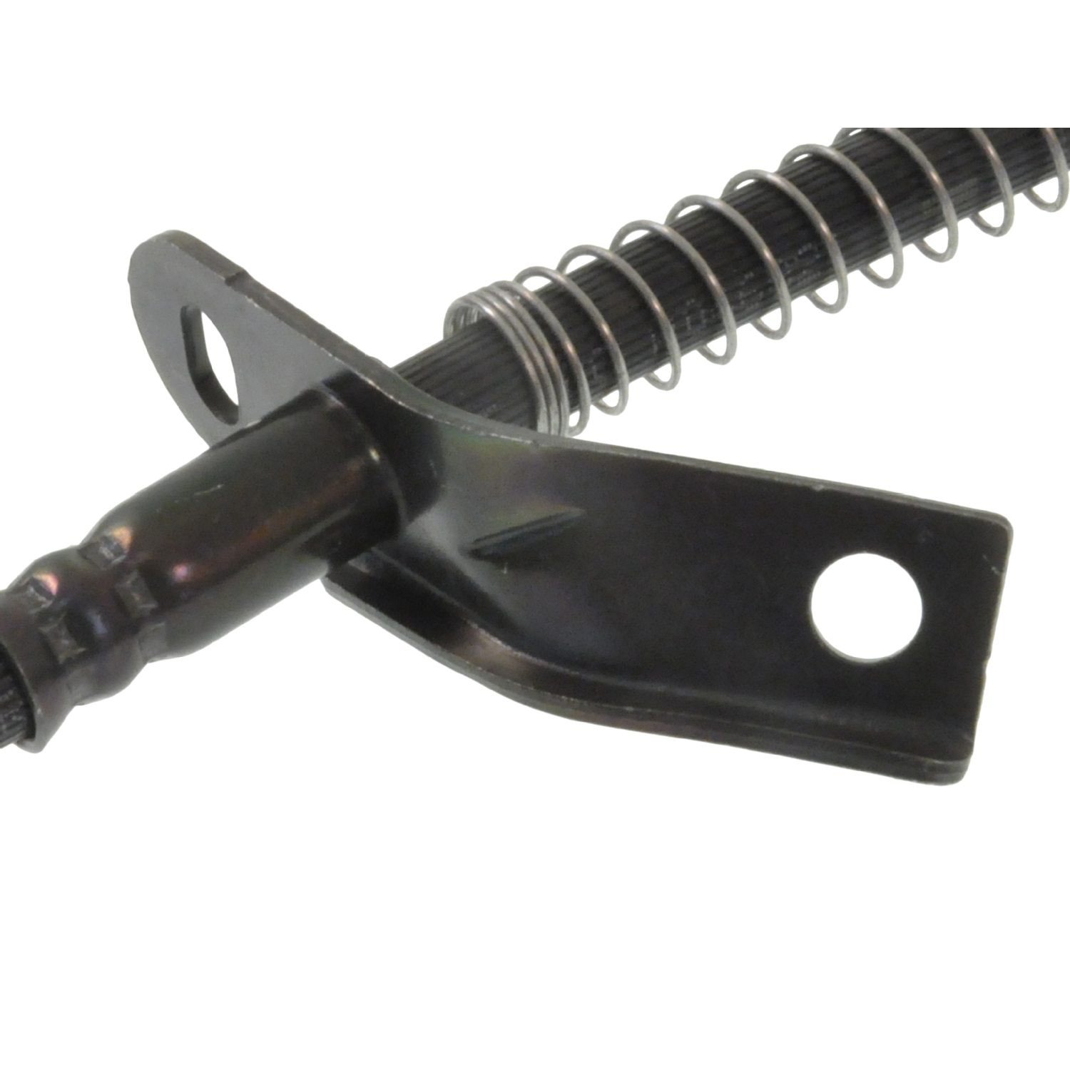 Blue Print ADG053148