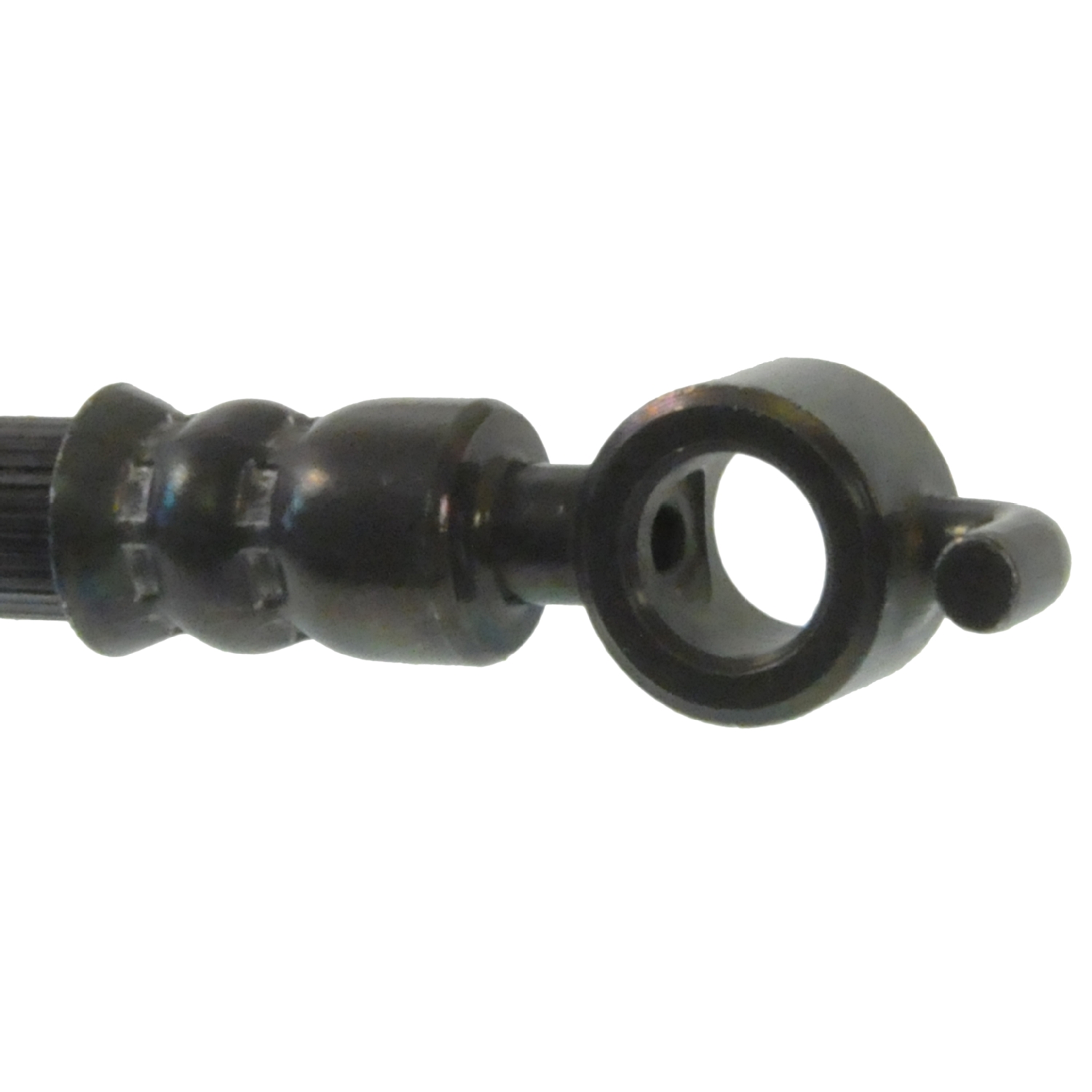 Blue Print ADG053148