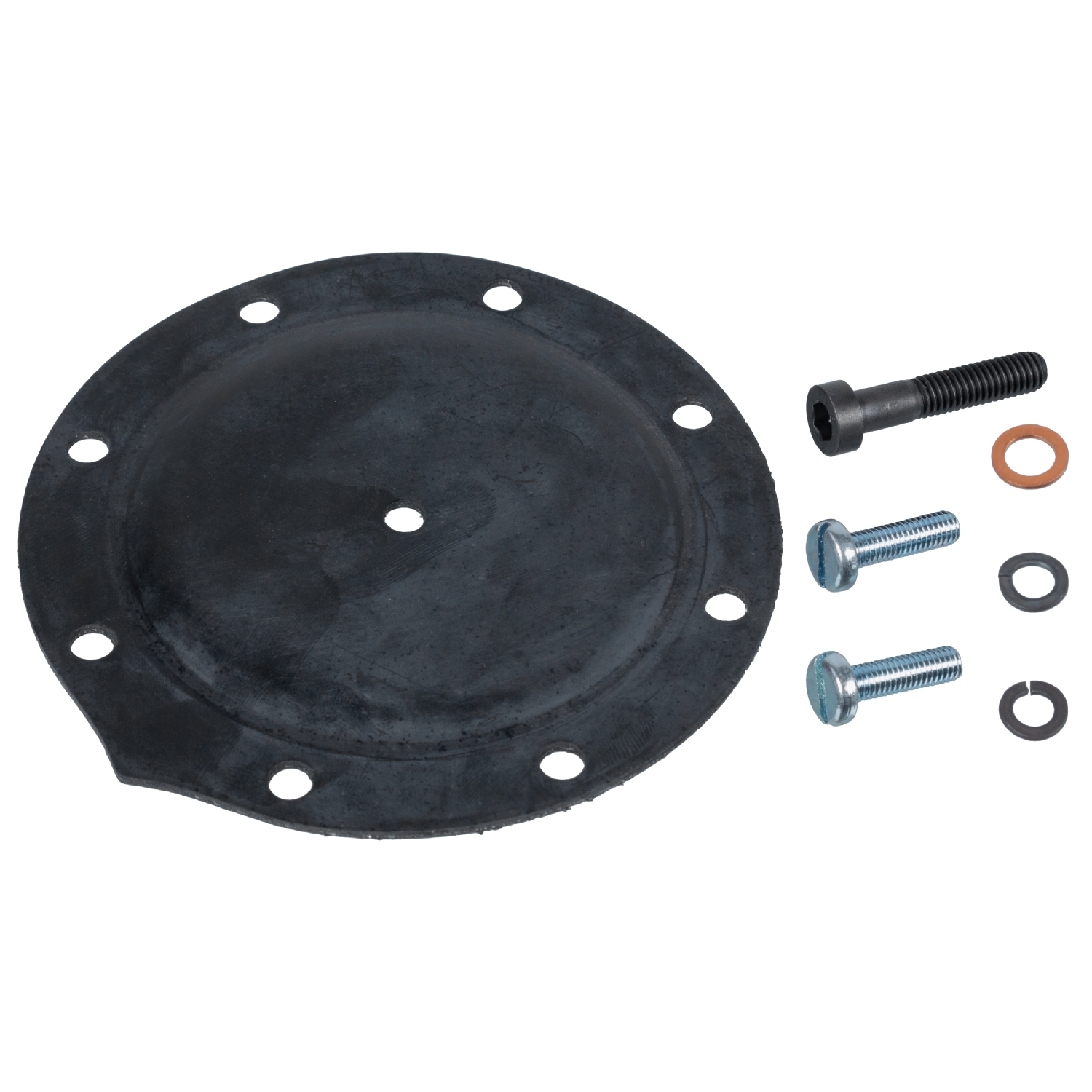 Febi 02442 Vacuum Pump Repair Kit