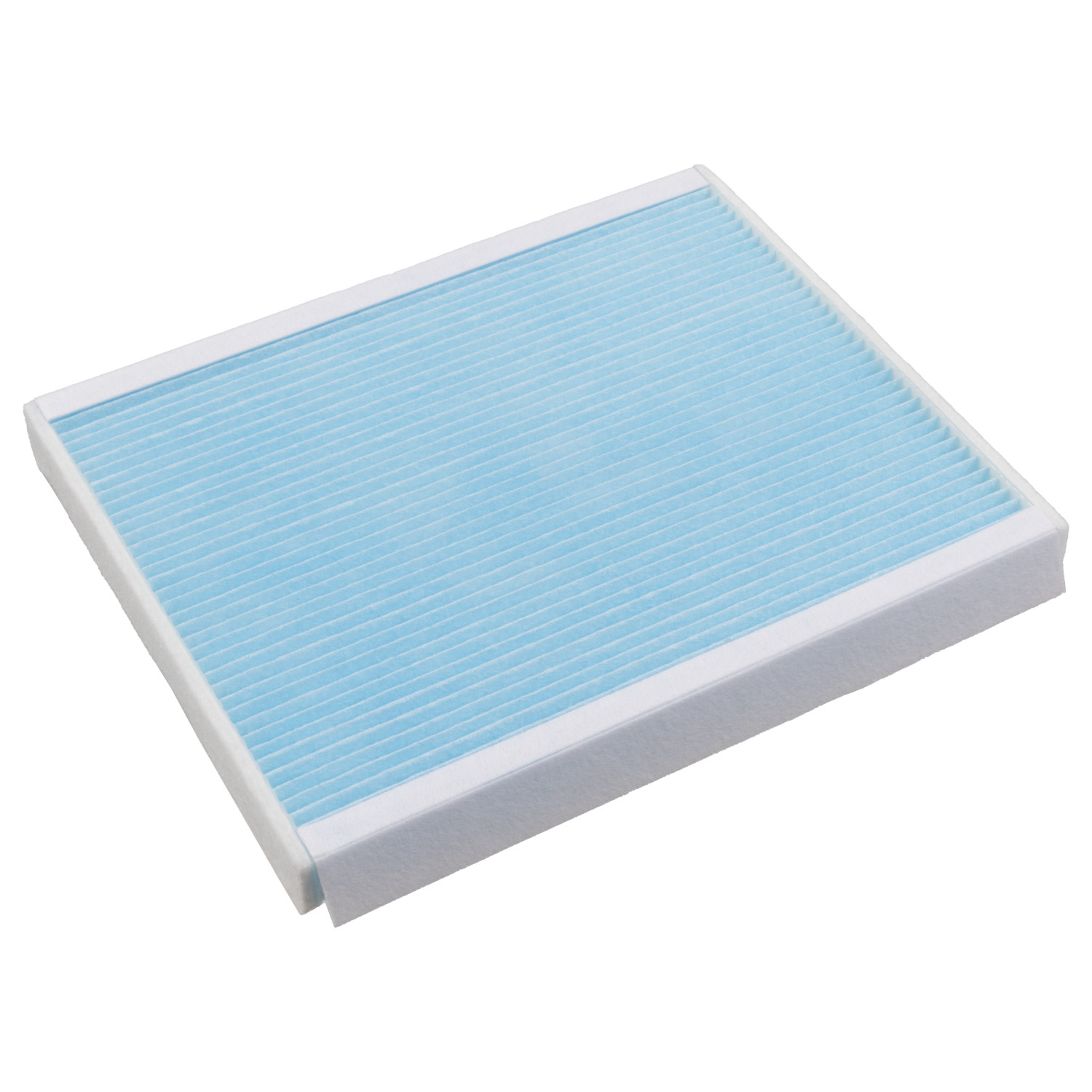 Blue Print ADG02557
