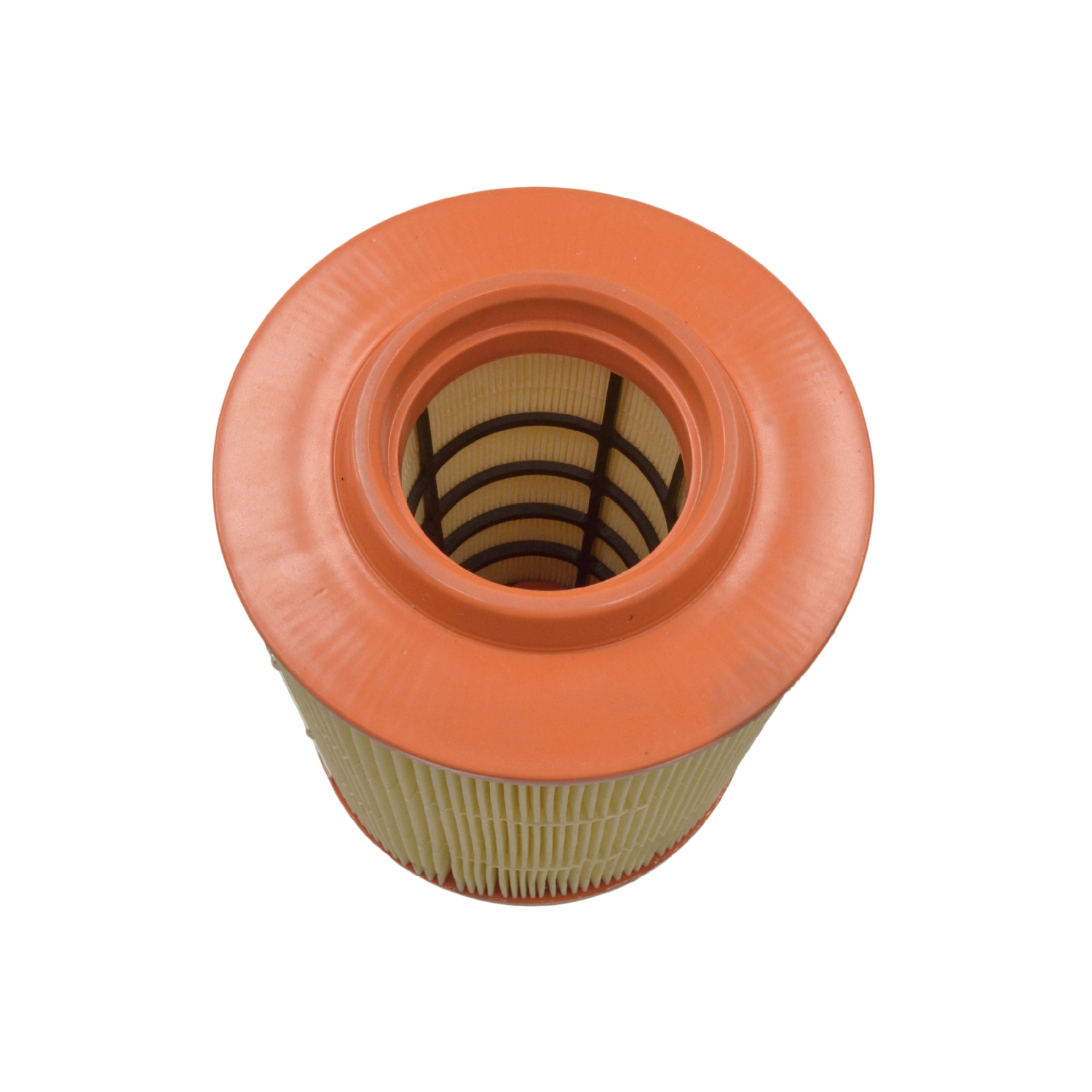 Blue Print ADF122214