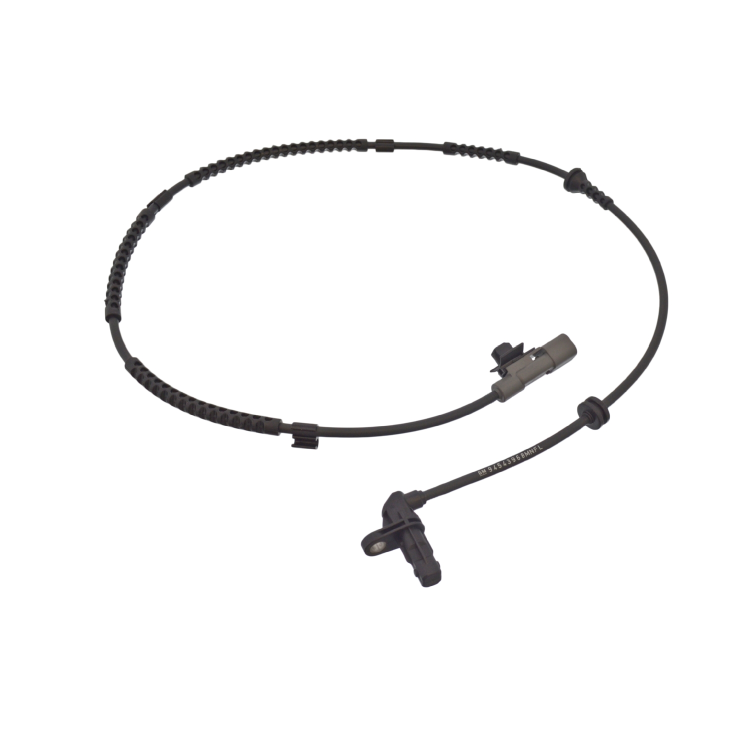 Blue Print ADG07183