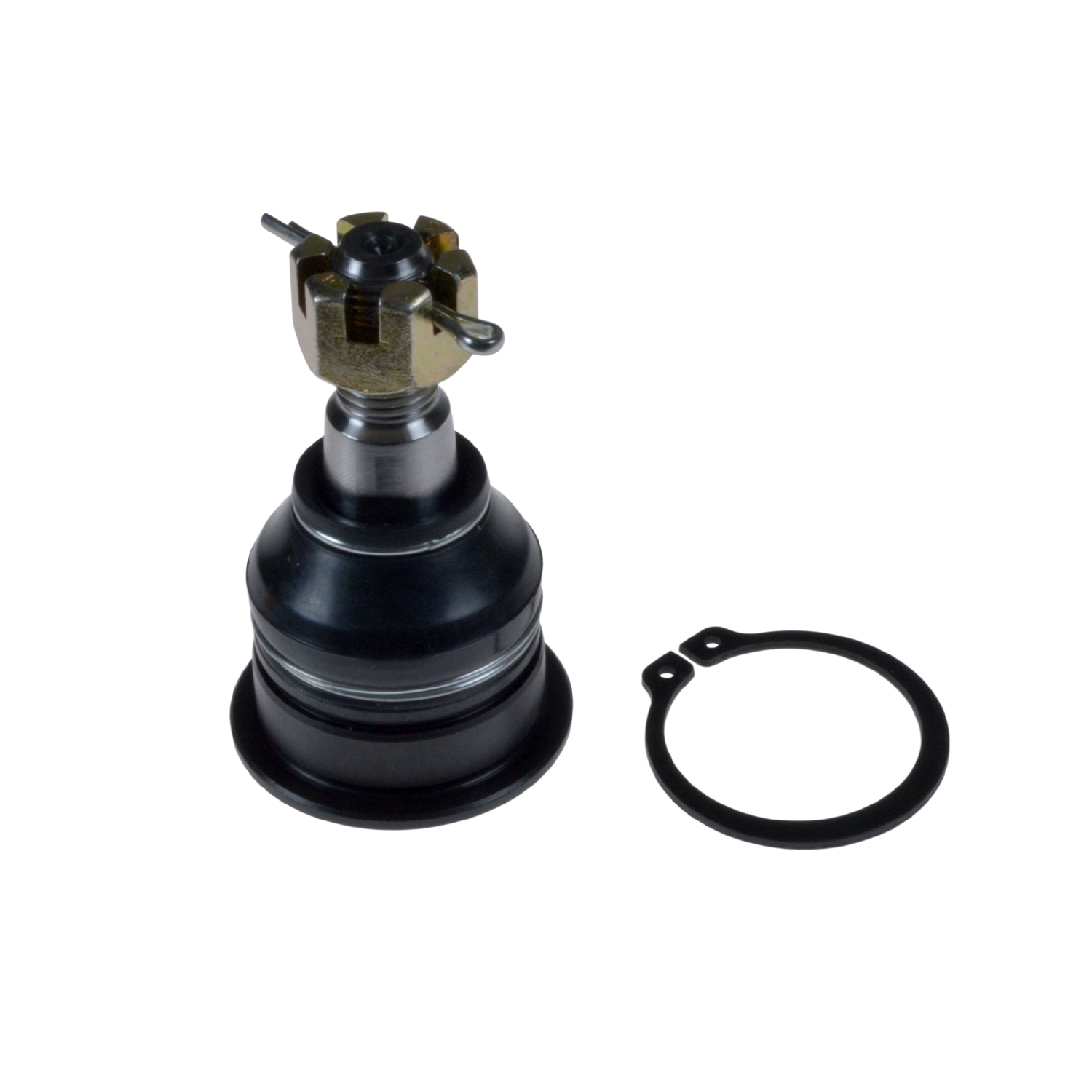 Blue Print ADN186128