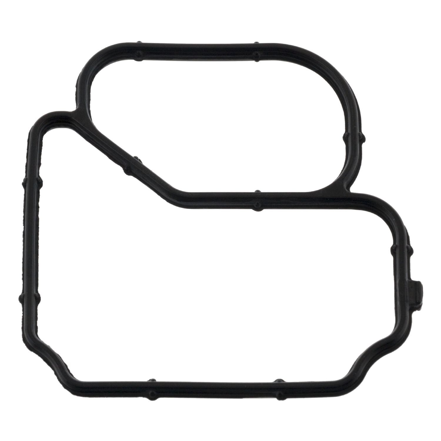 Febi 101063 Thermostat Gasket