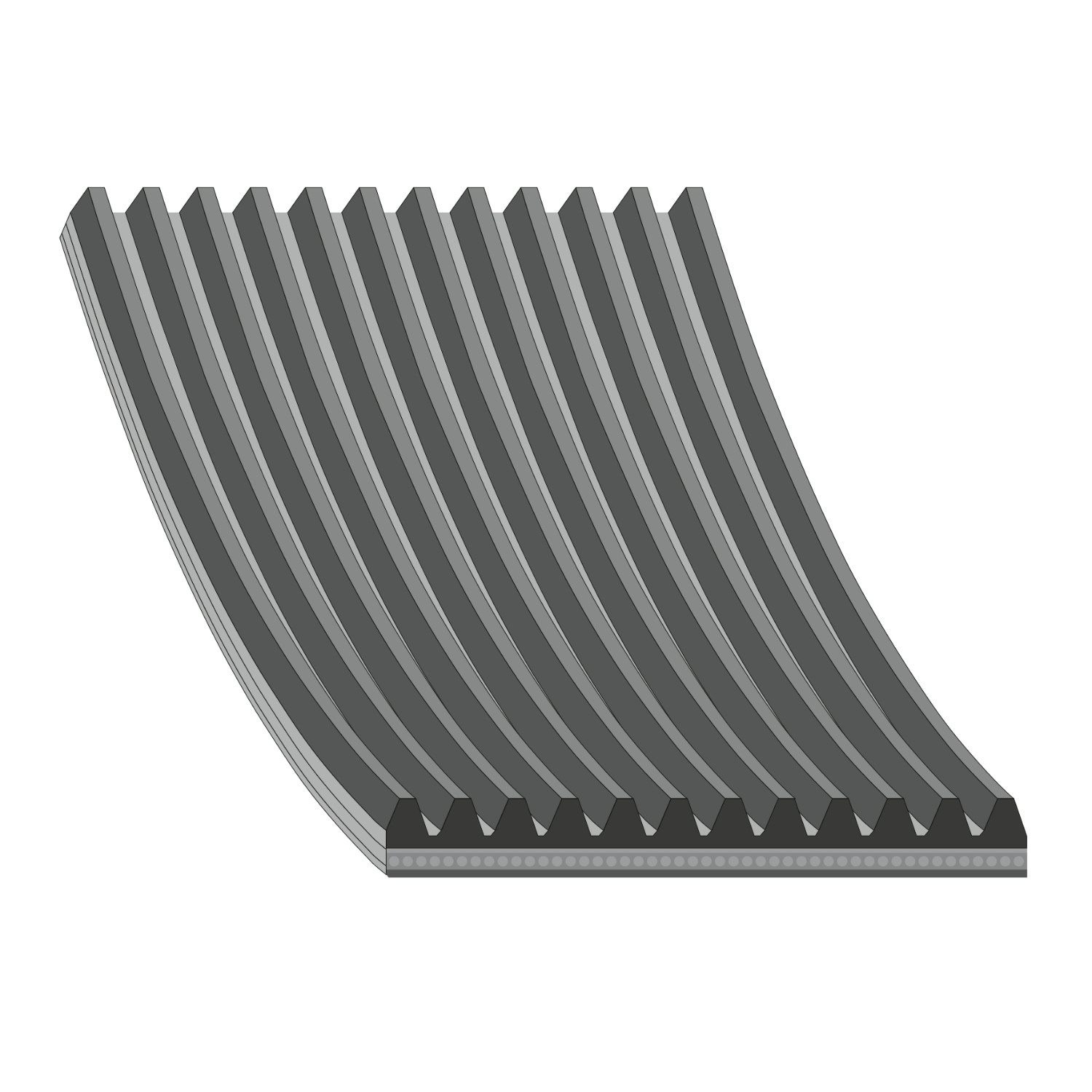 Febi 47161 12 Rib Multi V Drive Belt