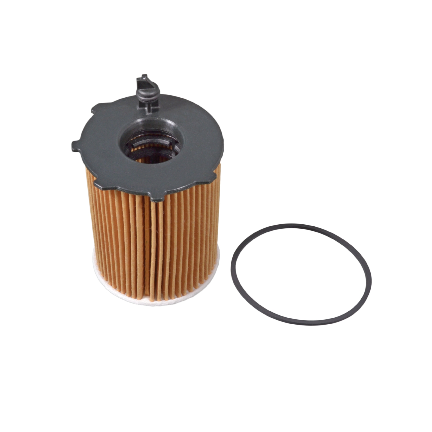 Blue Print ADF122115