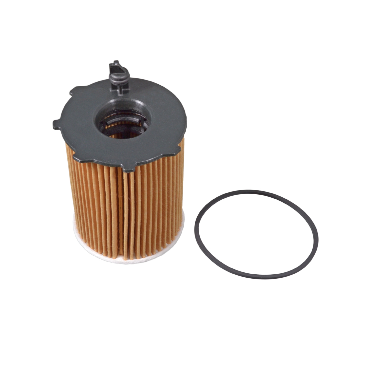 Blue Print ADB112119