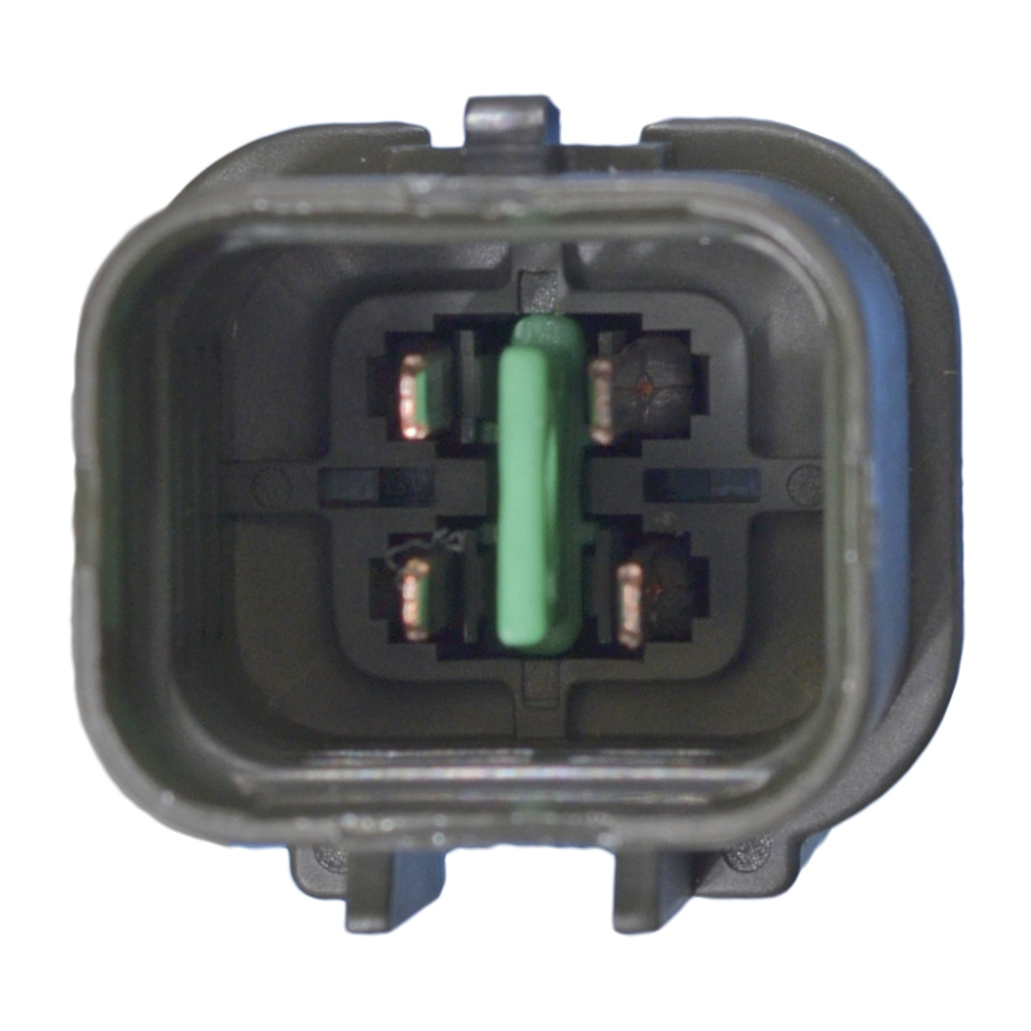 Blue Print ADG070138