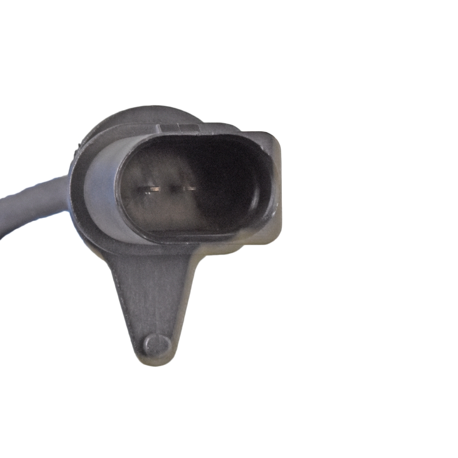 Blue Print ADV184223