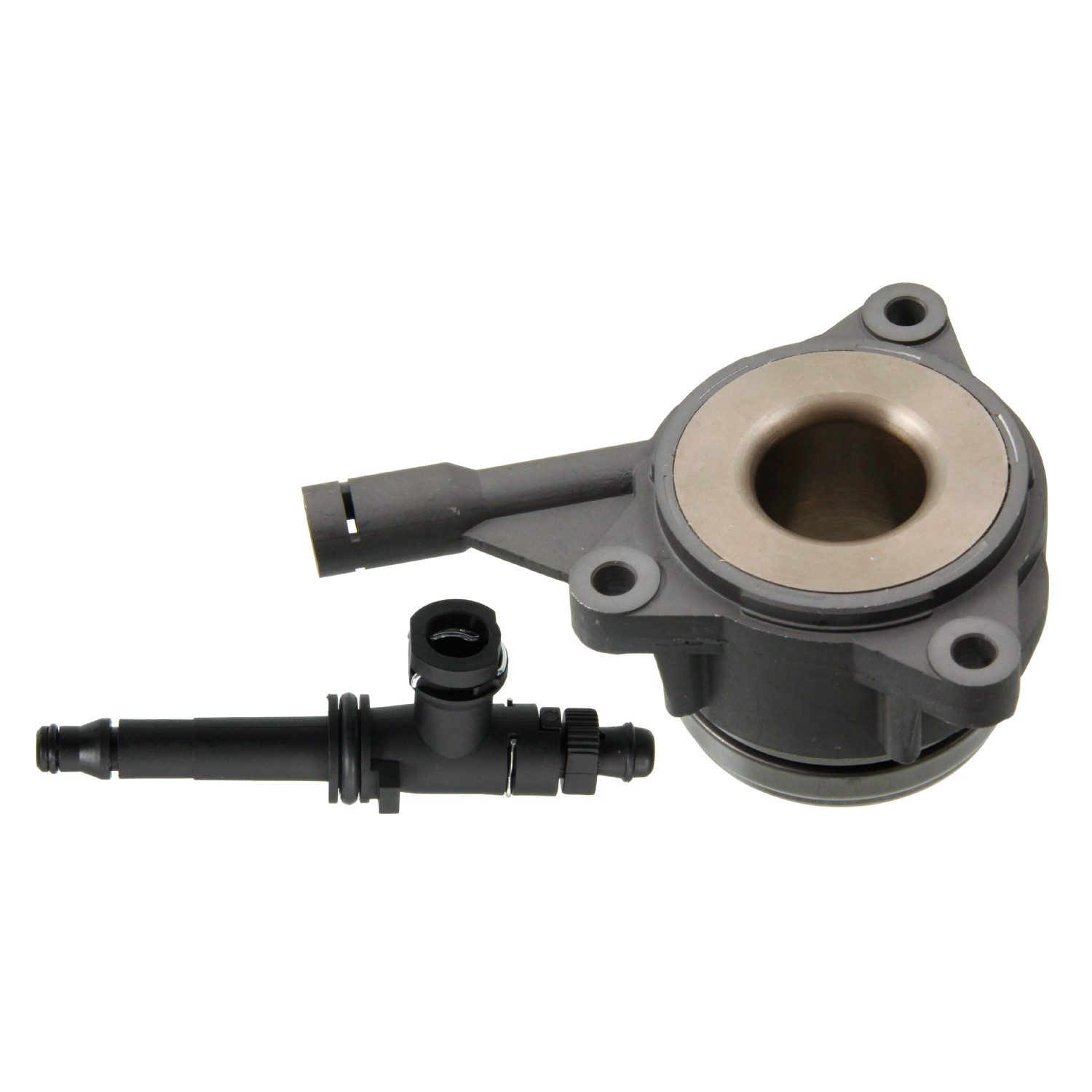 Blue Print ADF123619