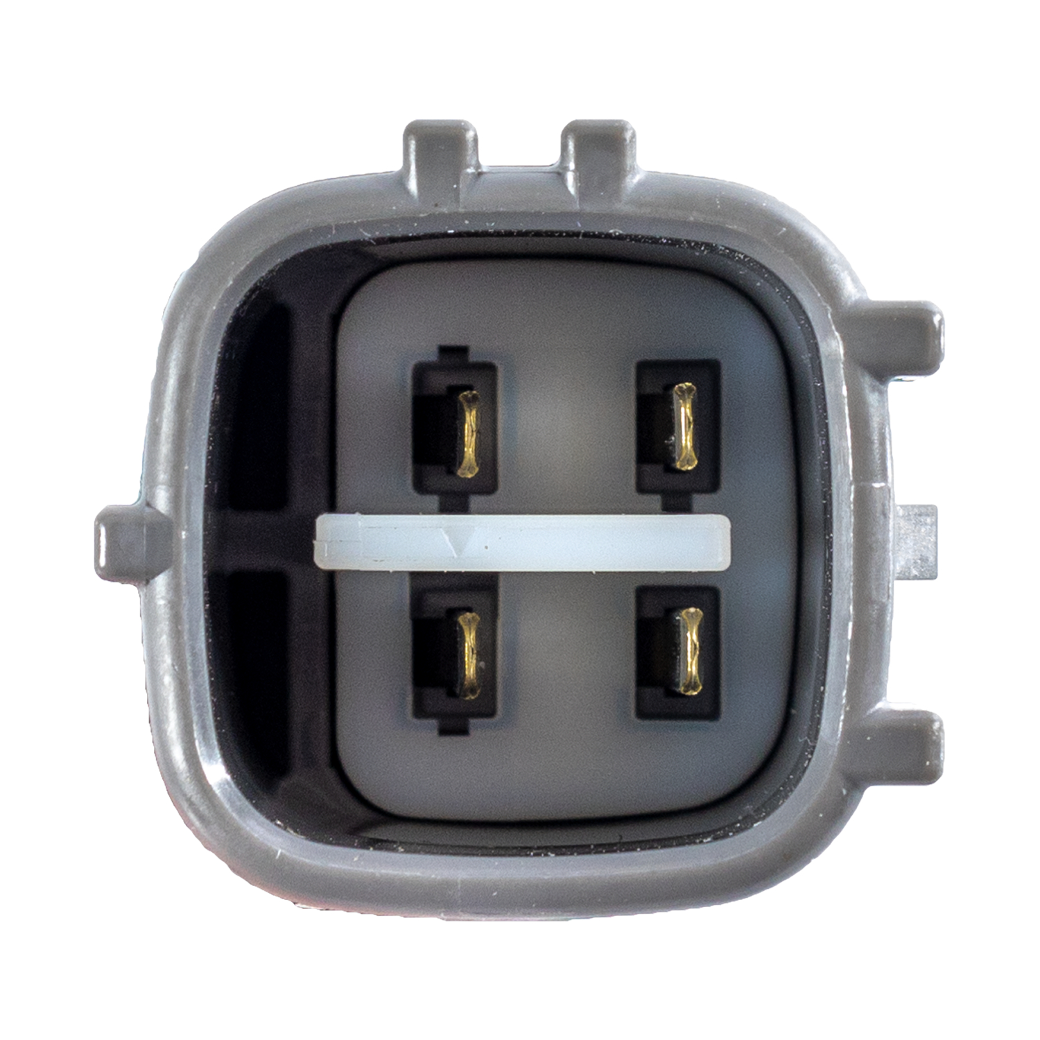 Blue Print ADBP700025