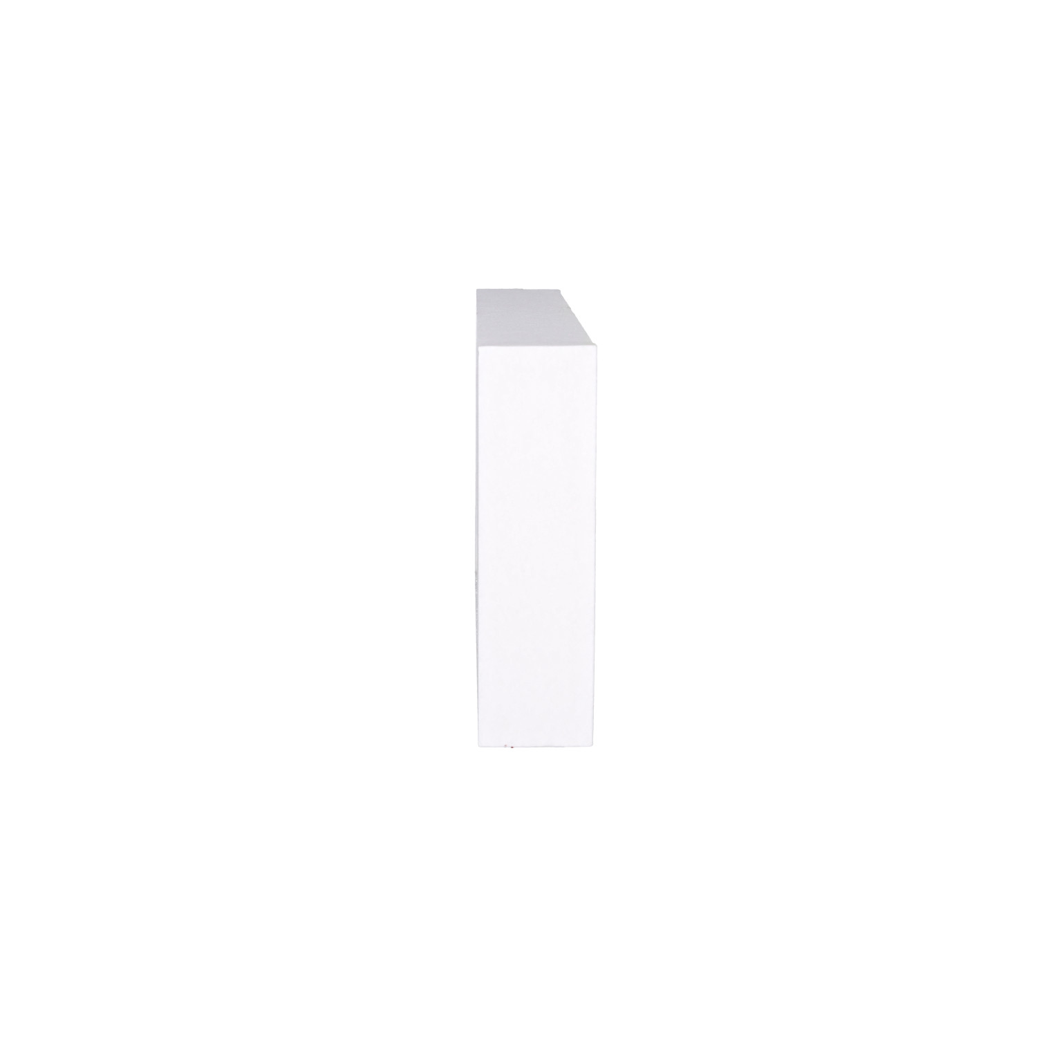 Febi 179909