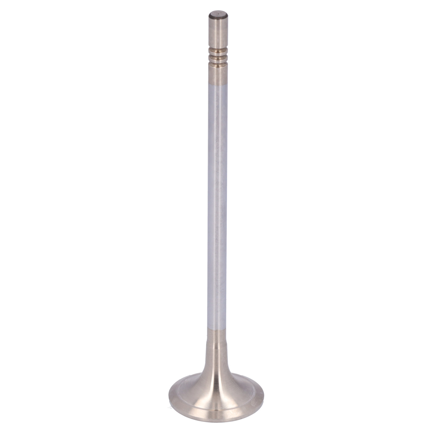 Febi 1000157 Exhaust Valve
