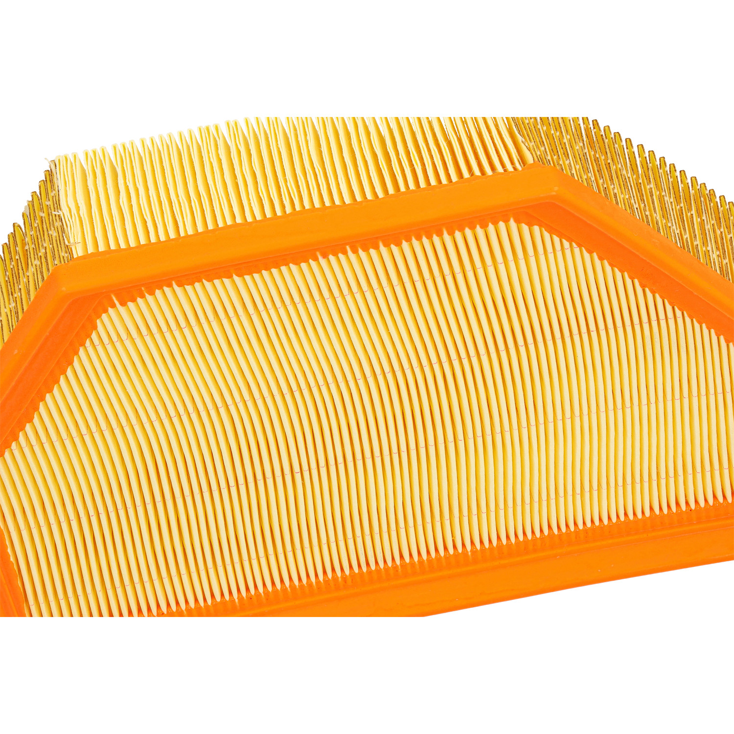 Blue Print ADBP220205