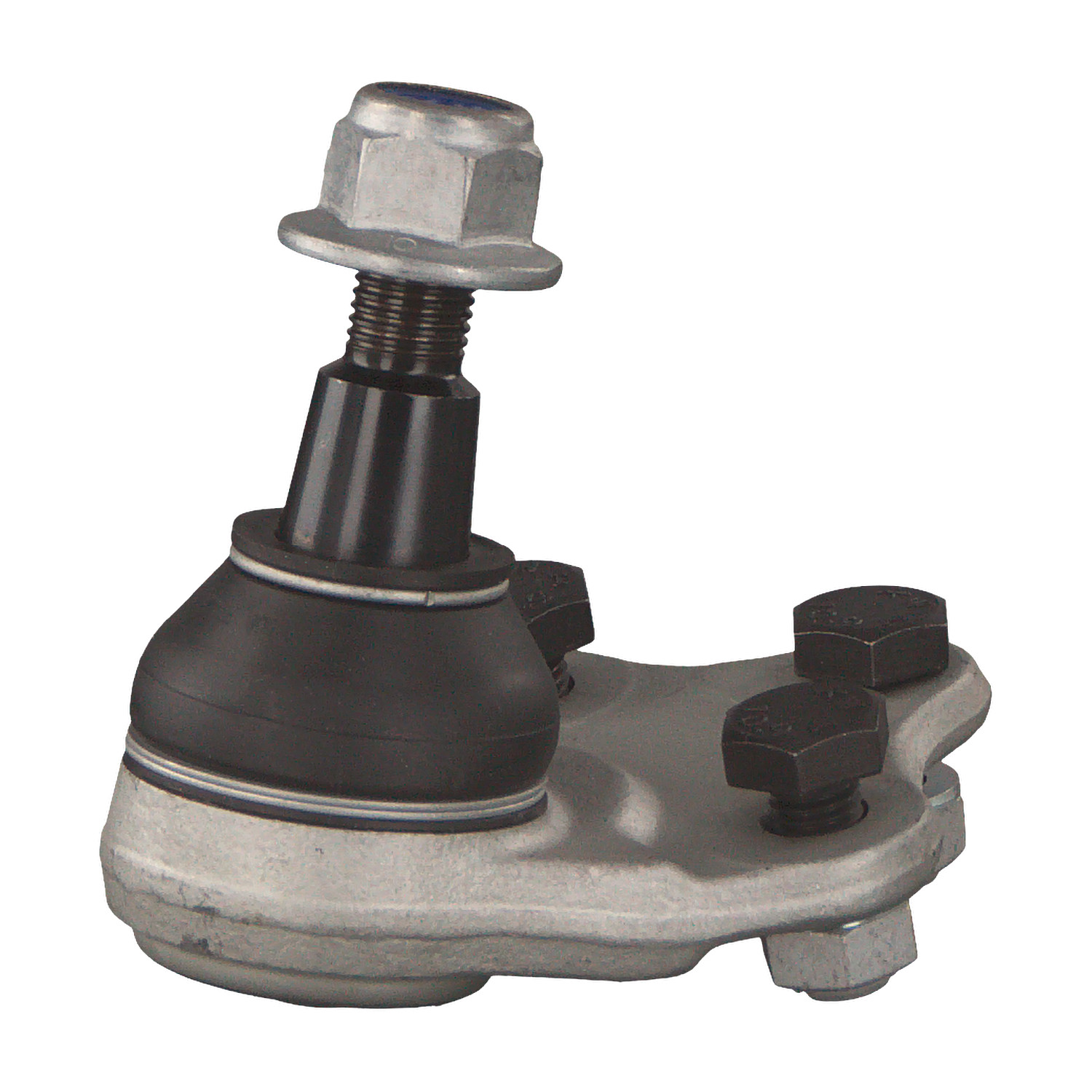 Blue Print ADJ138626