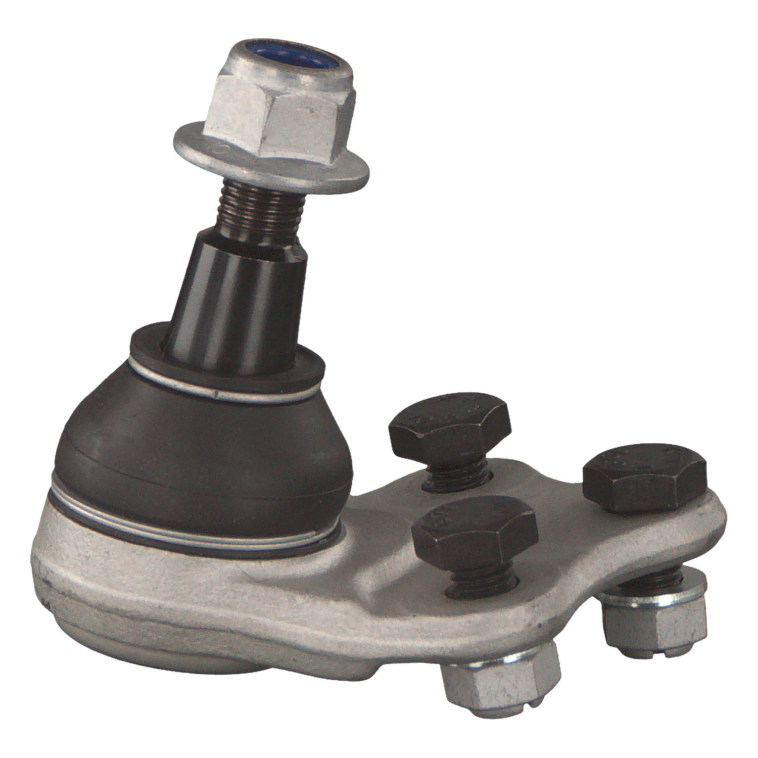 Blue Print ADJ138626