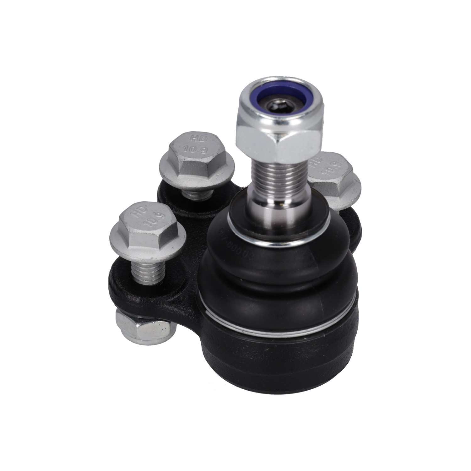 Blue Print ADN186107